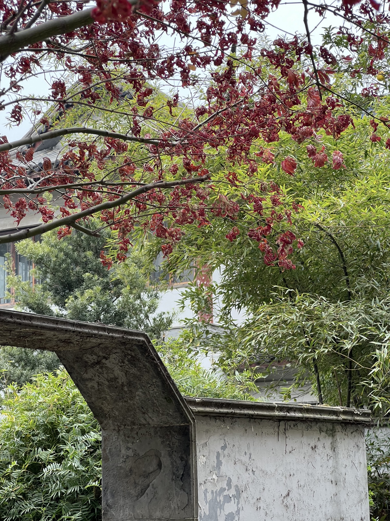 豫章景园旅行图片 3
