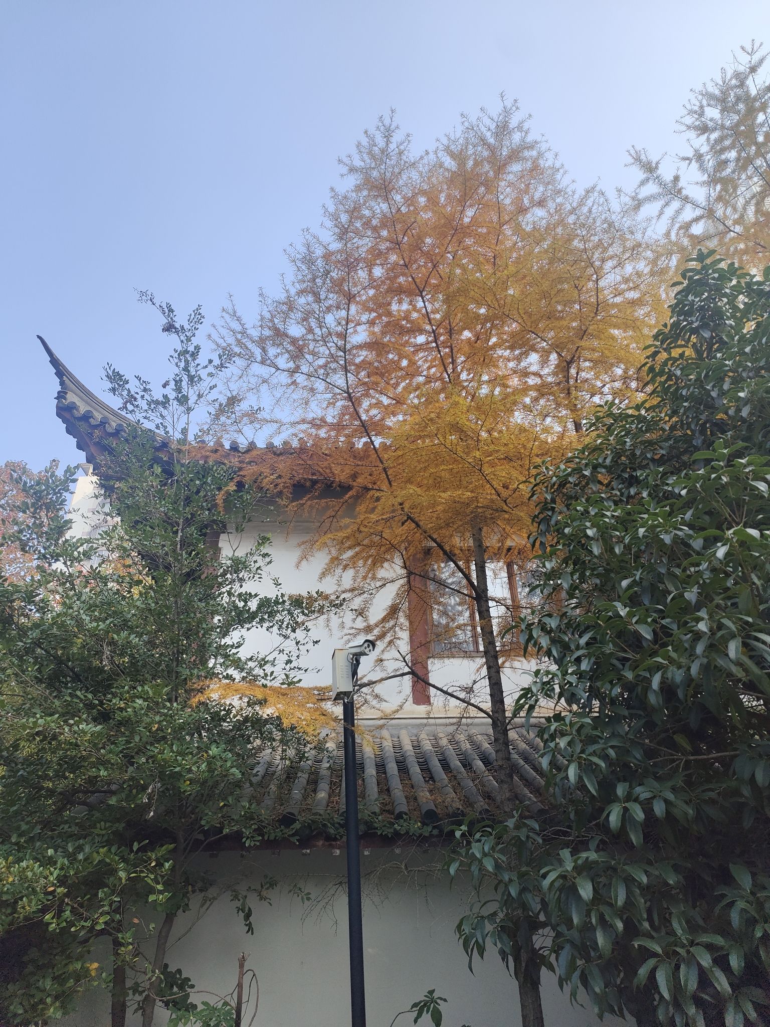 豫章景园旅行图片 2