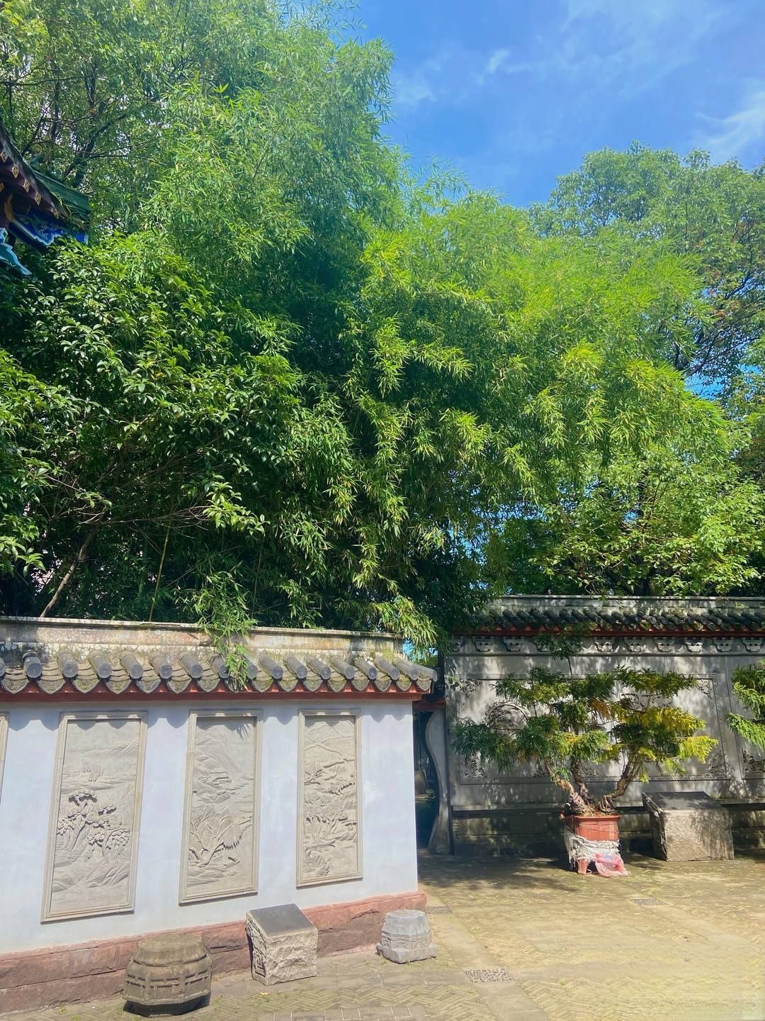 豫章景园旅行图片 3