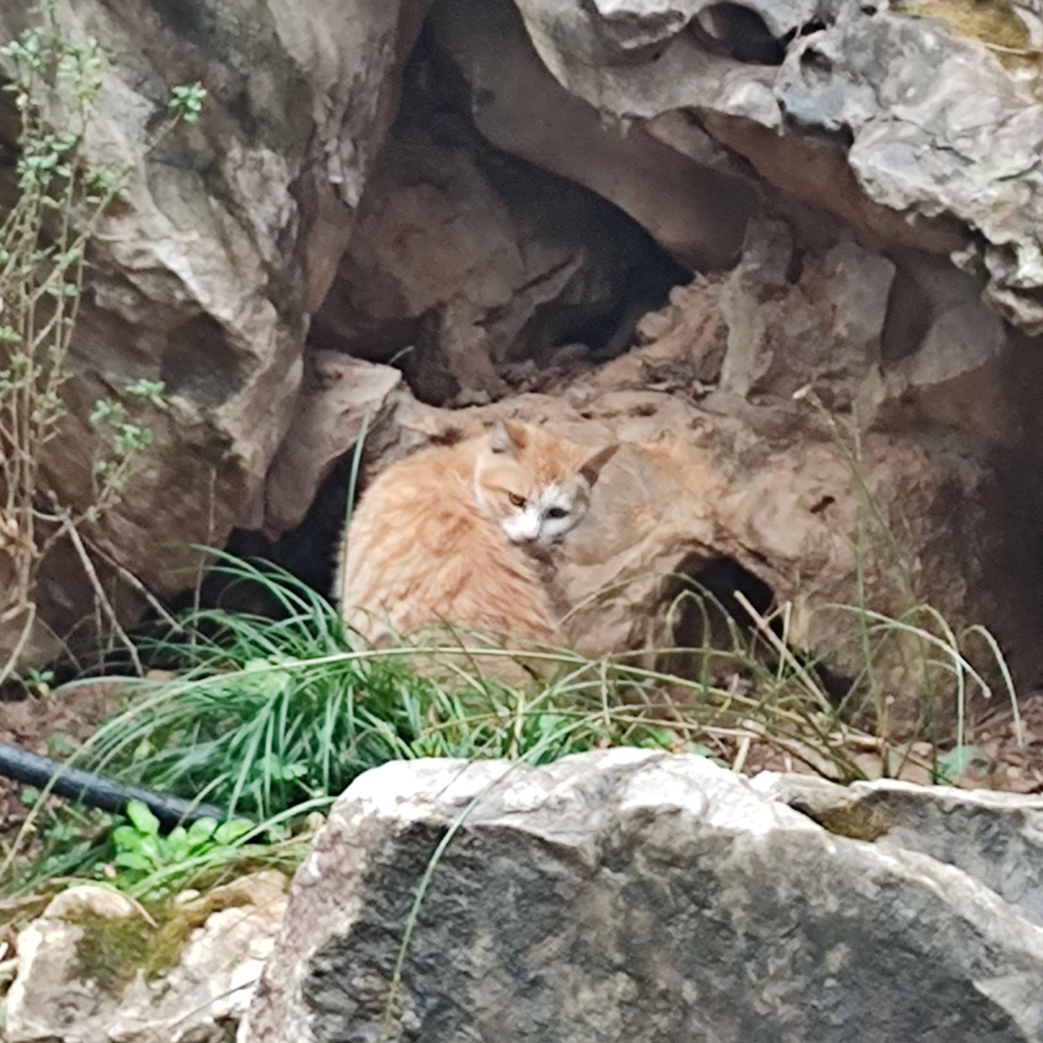 豫章景园旅行图片 2