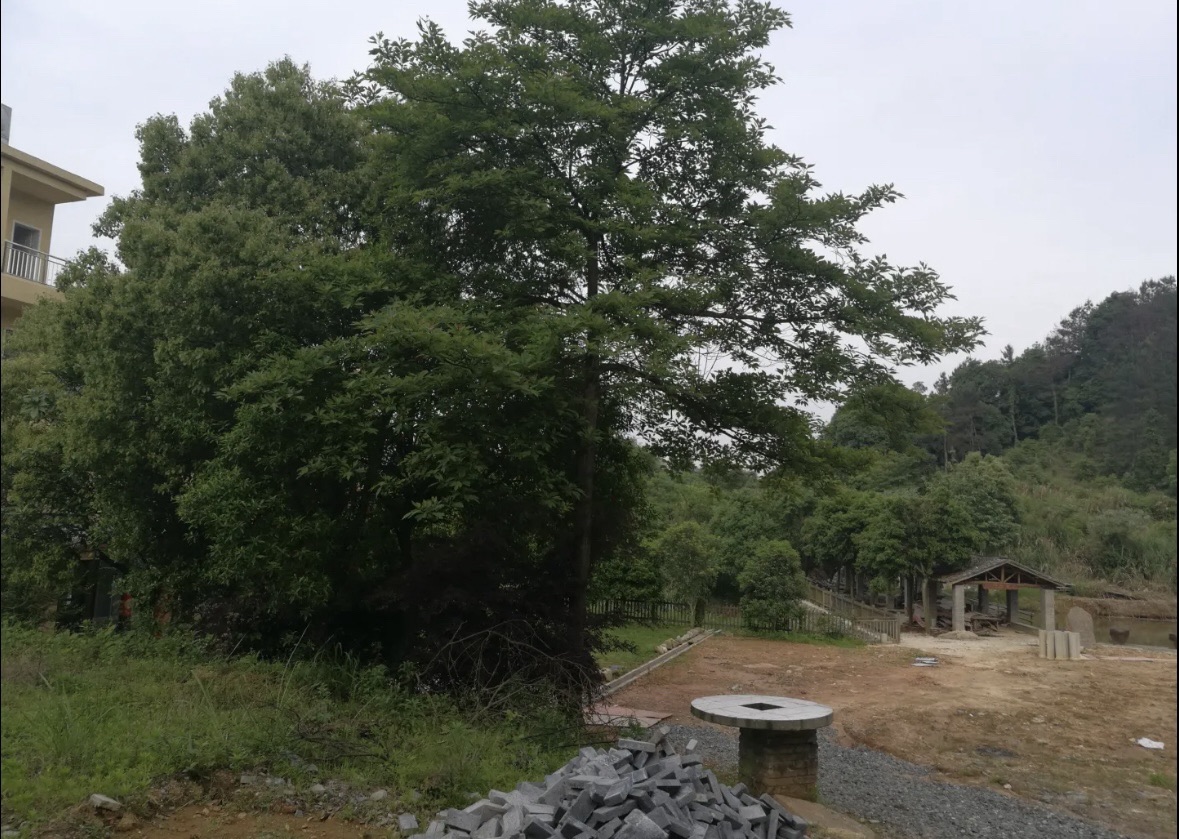 龙门谷景区旅行图片 2