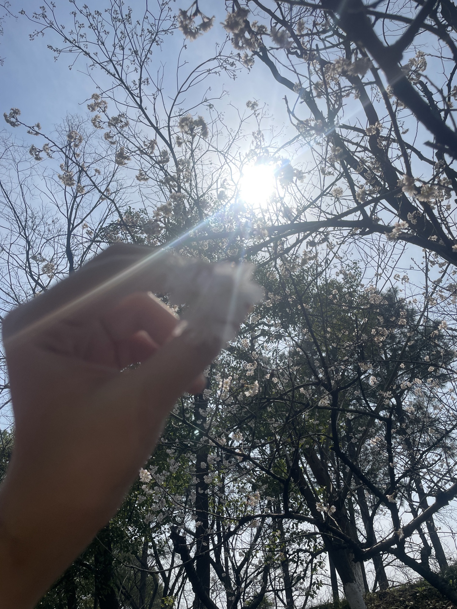 人民公园旅行图片 1