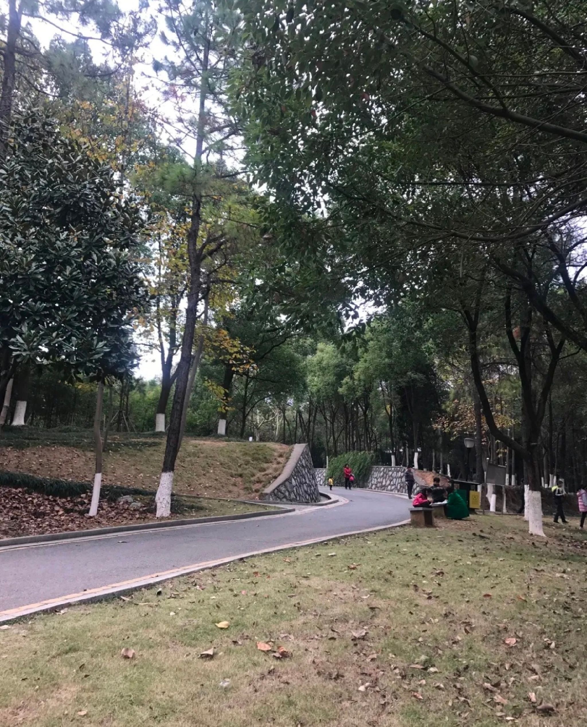 人民公园旅行图片 1