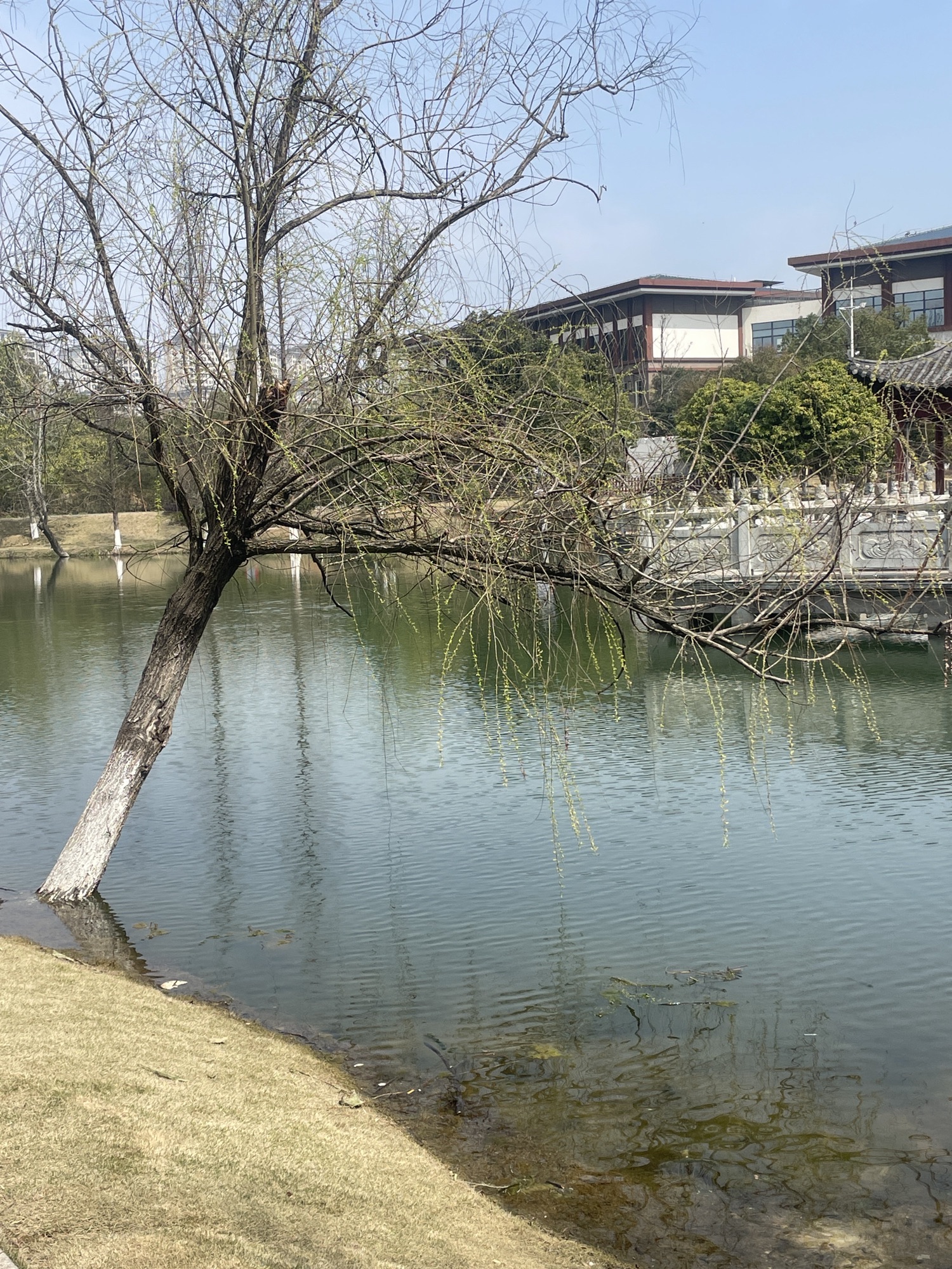 人民公园旅行图片 3