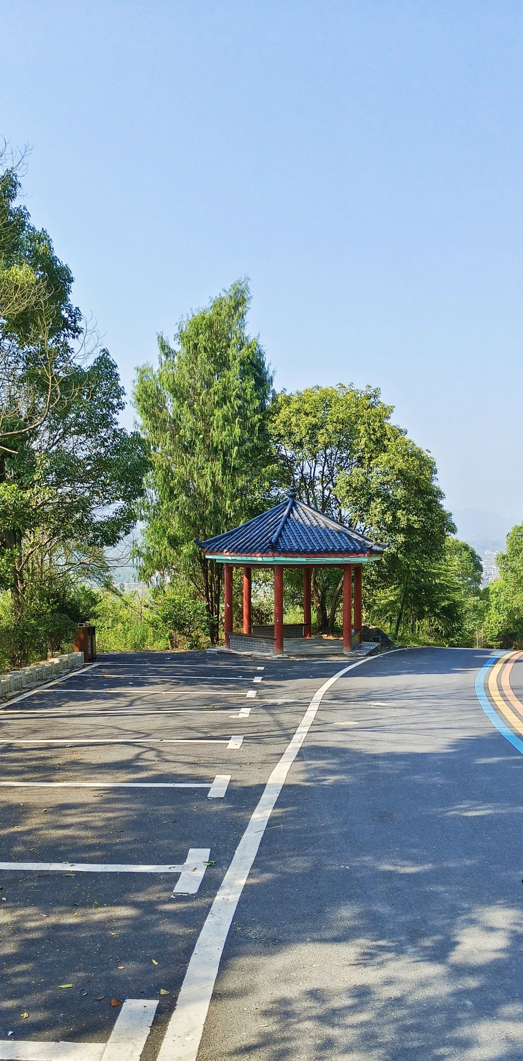 东岭石林旅行图片 1