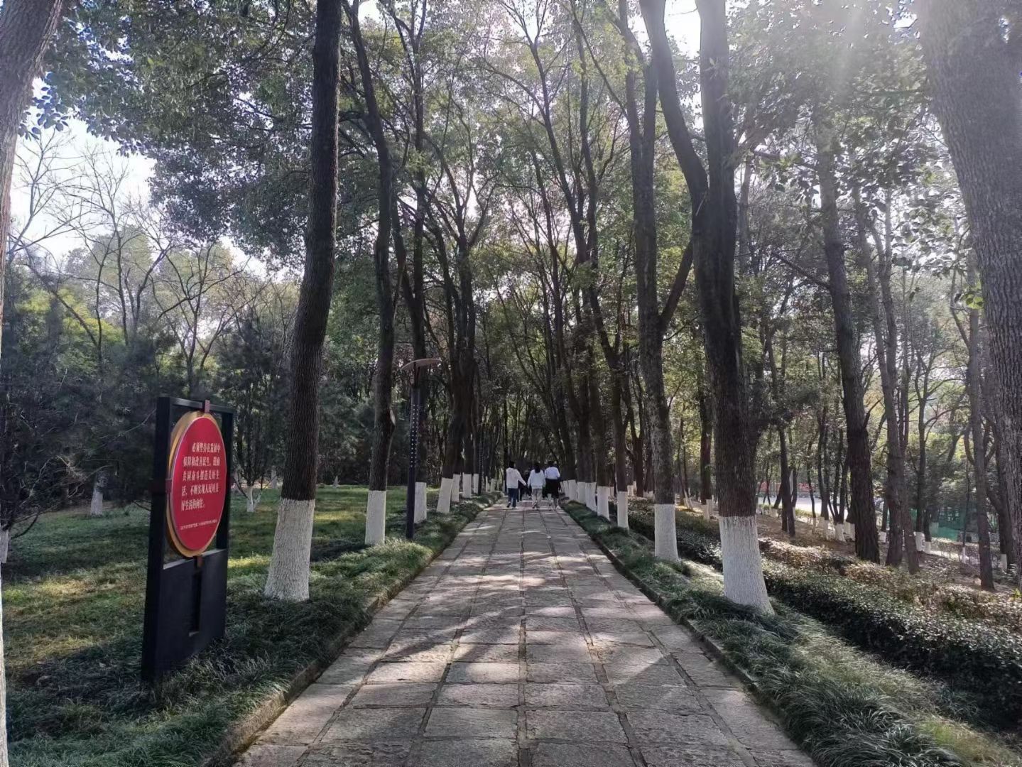 共青城富华山旅游区旅行图片 3
