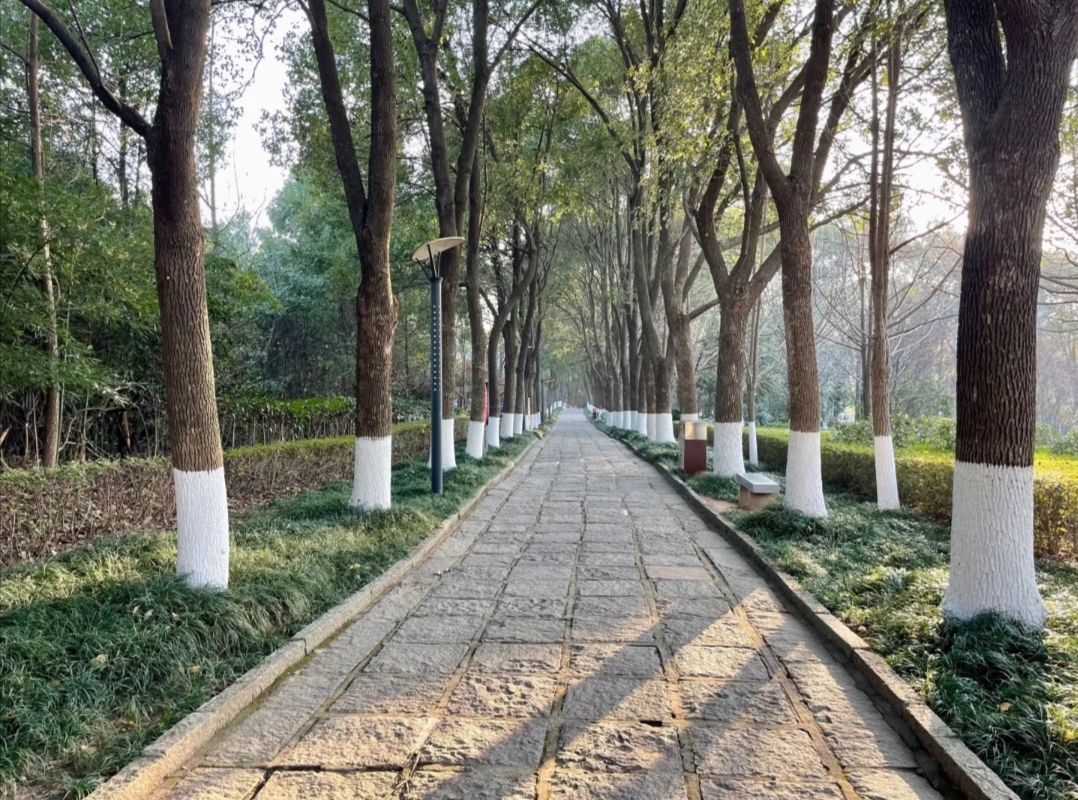 共青城富华山旅游区旅行图片 3