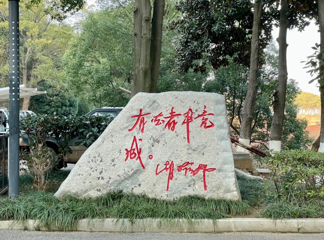 共青城富华山旅游区旅行图片 2