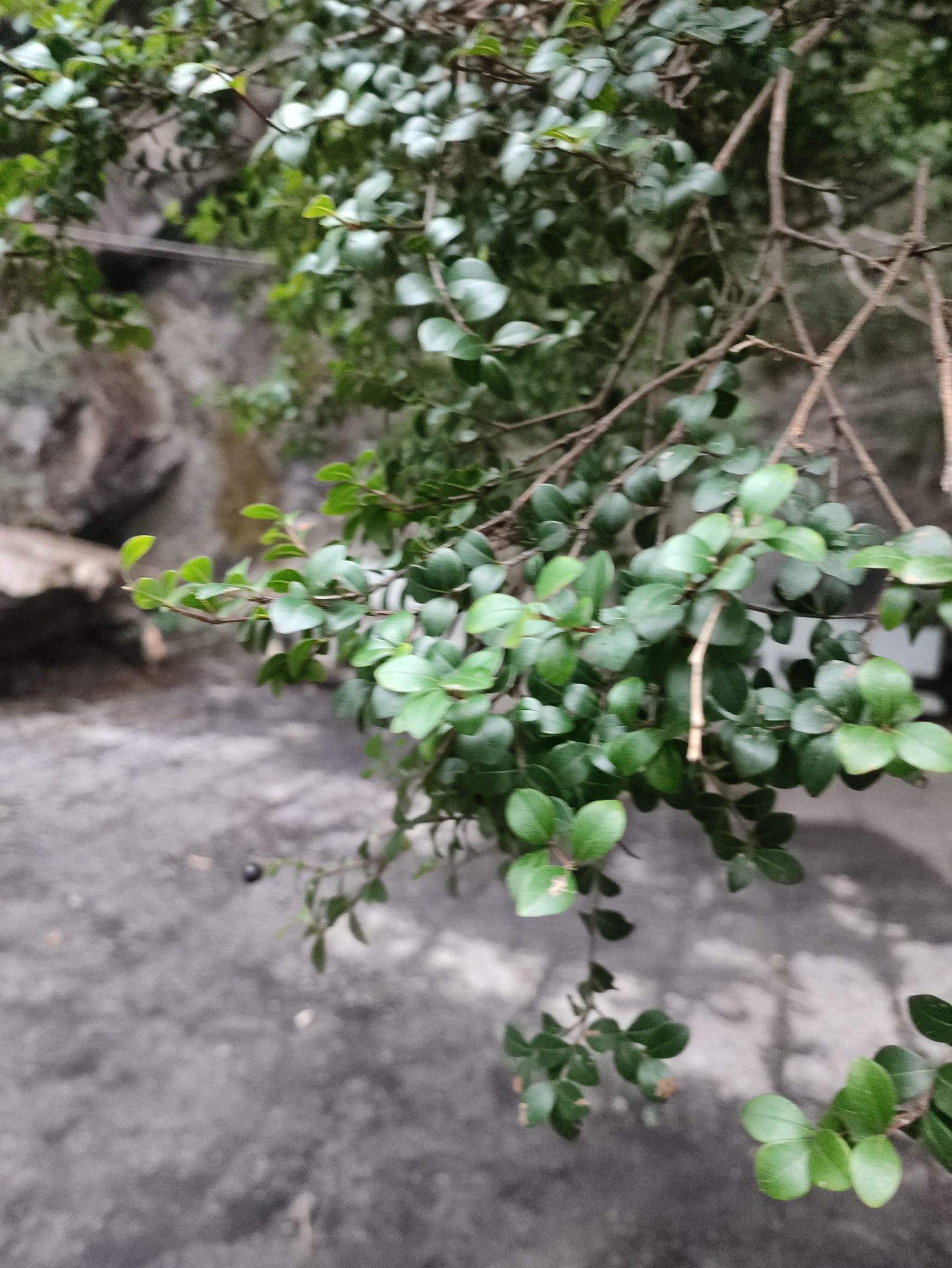 庐山马尾水生态旅游风景区旅行图片 2