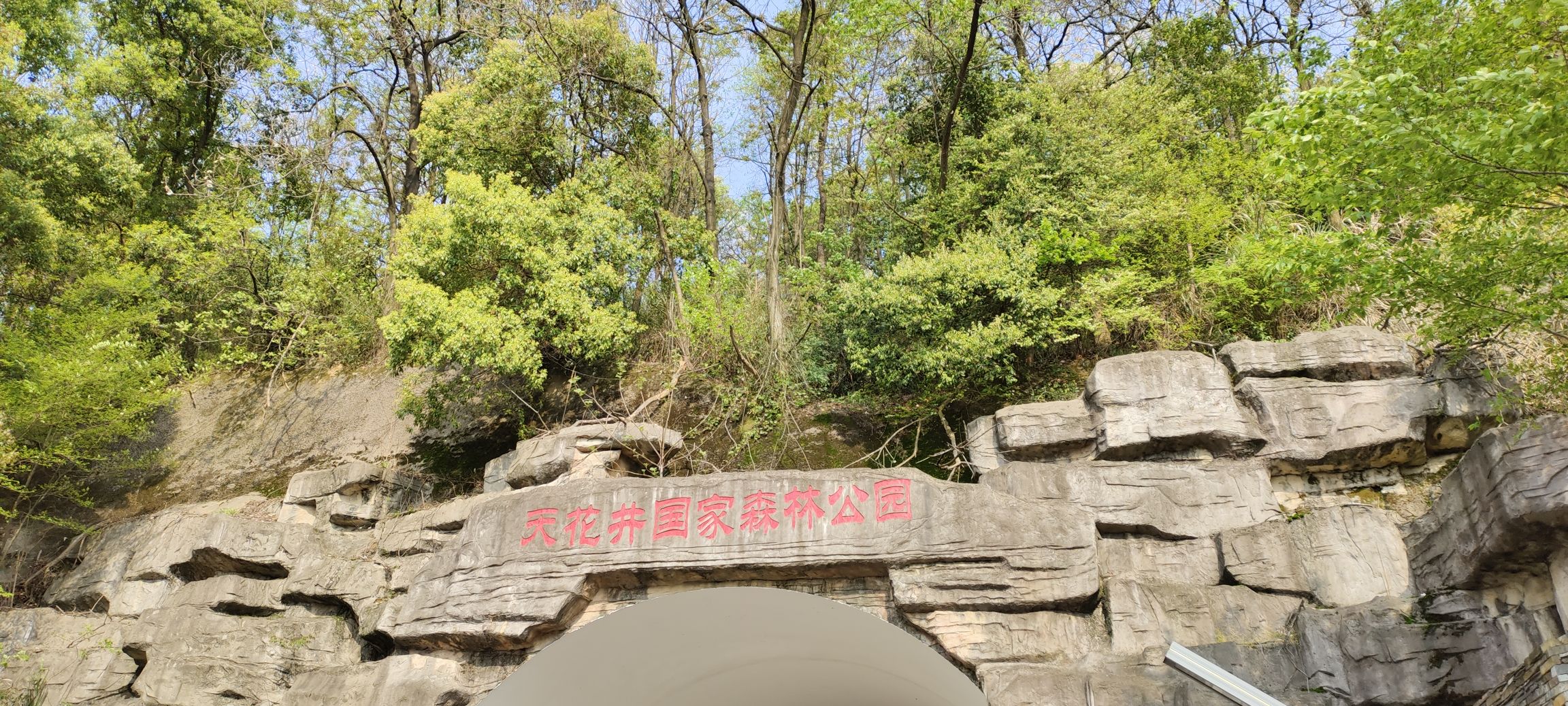 天花井国家森林公园