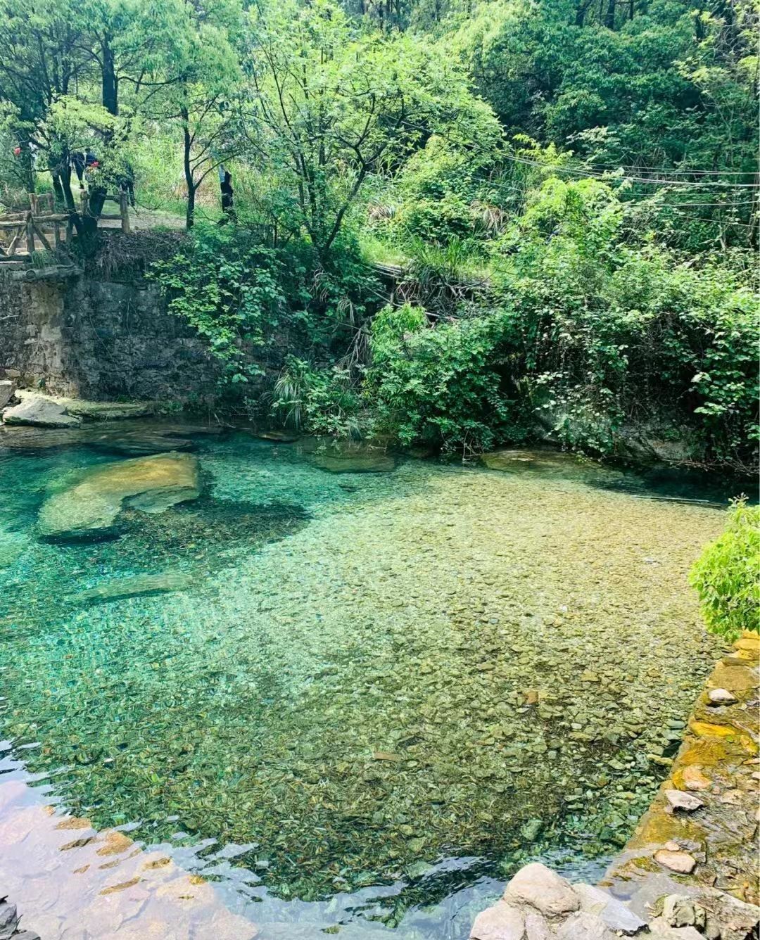 莲花洞森林公园
