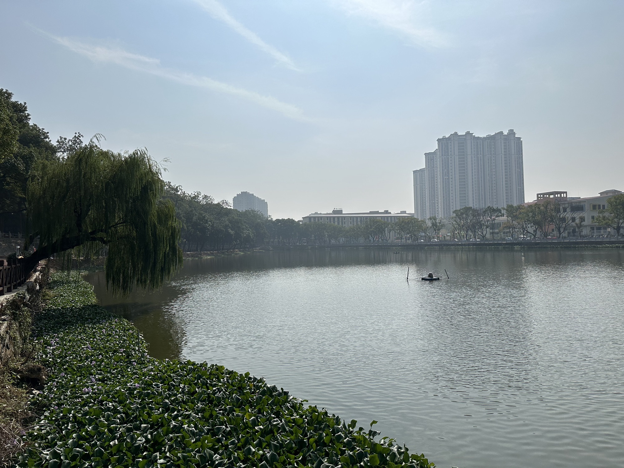 西湖公园旅行图片 2