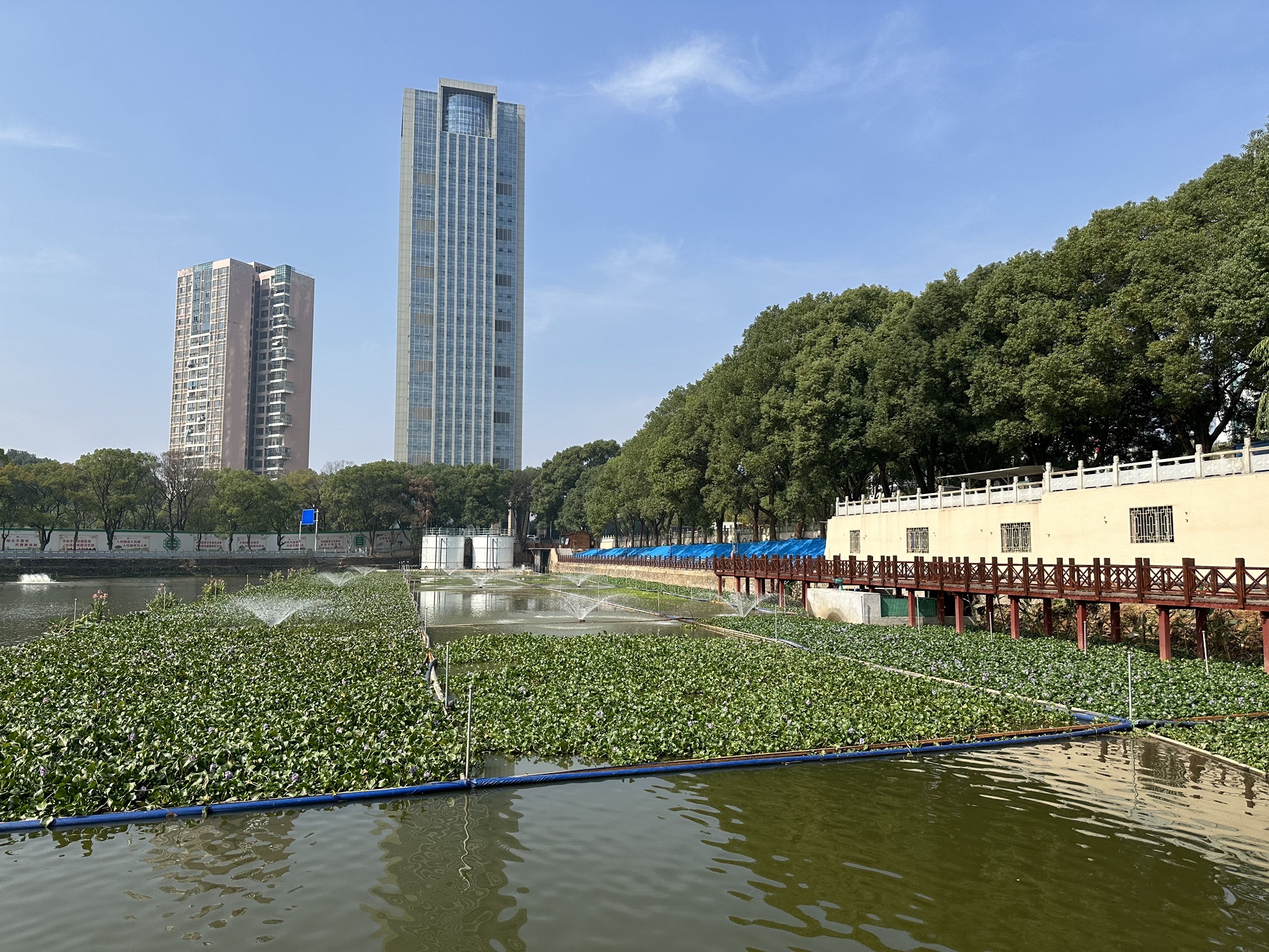 西湖公园旅行图片 1