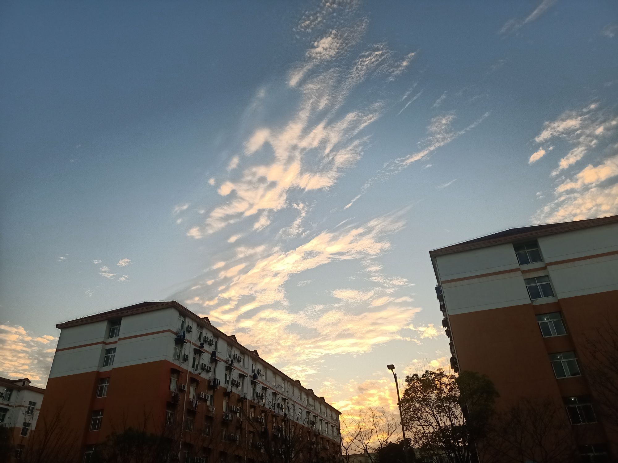 九江市同文中学浔东校区