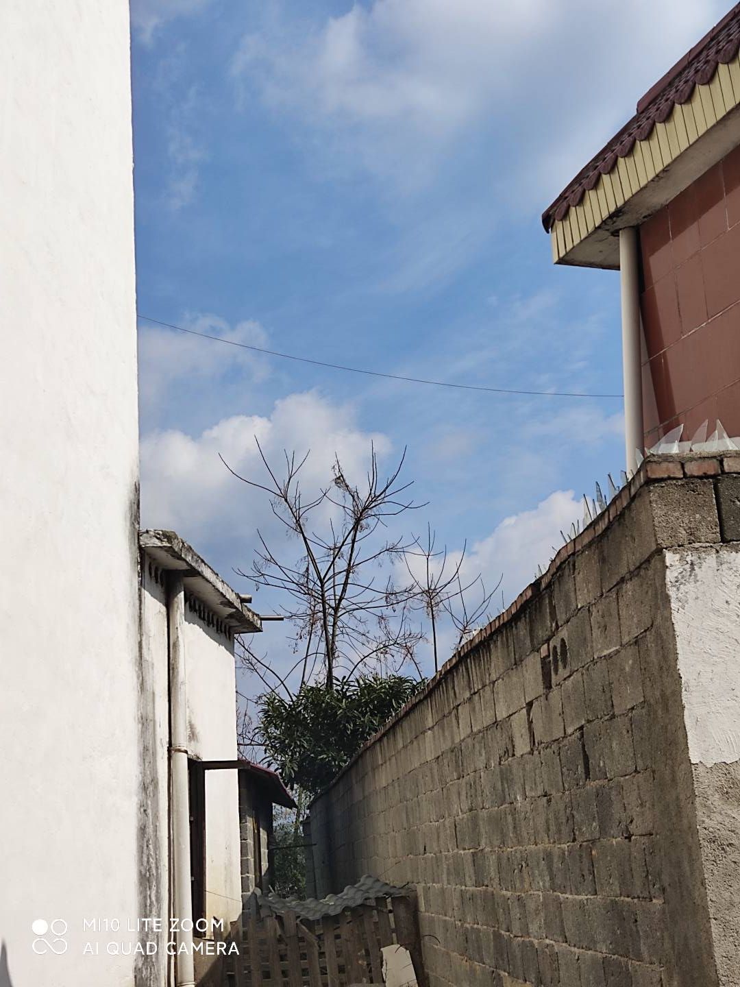 渣津广场旅行图片 3
