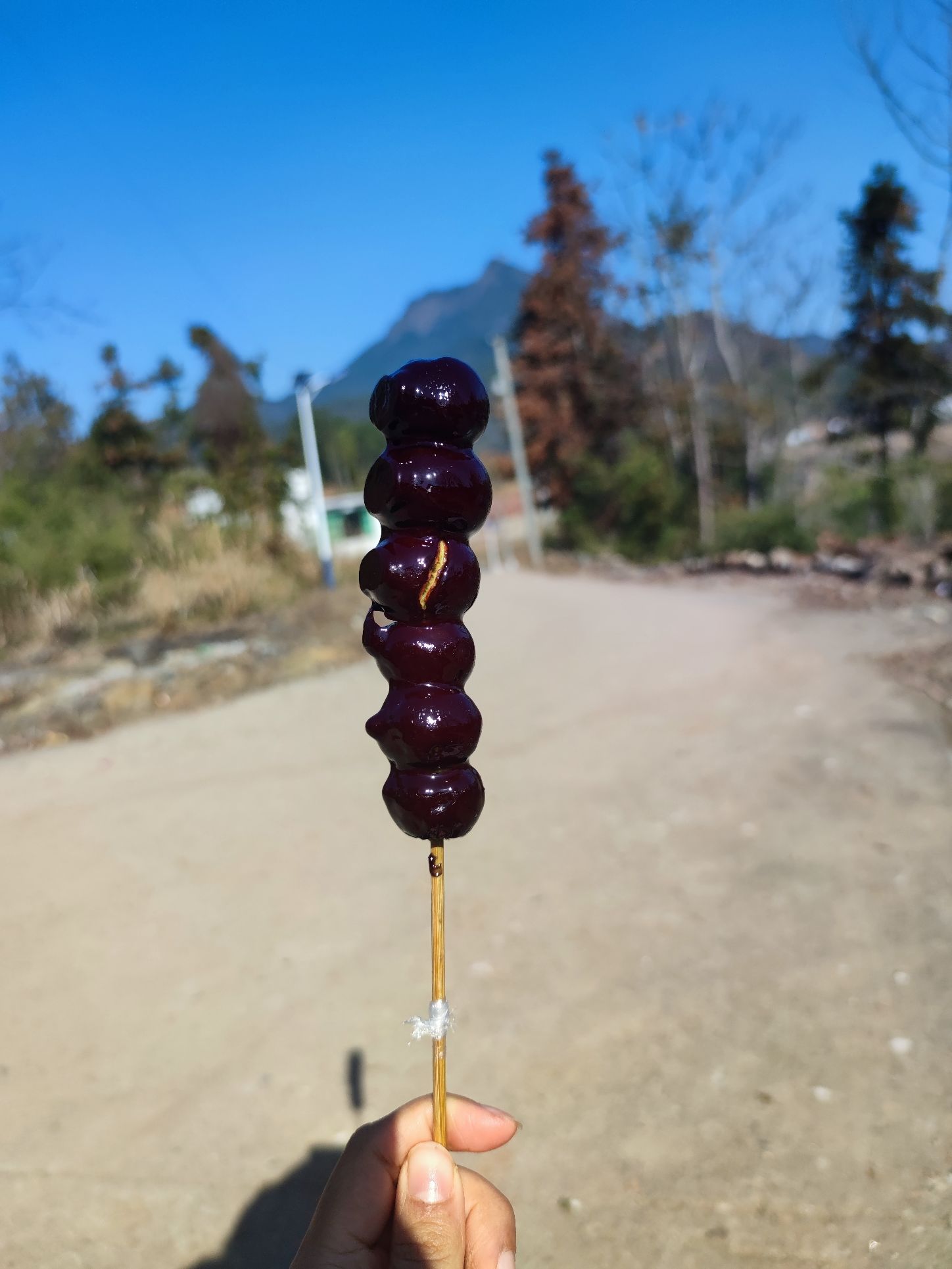 渣津广场旅行图片 2