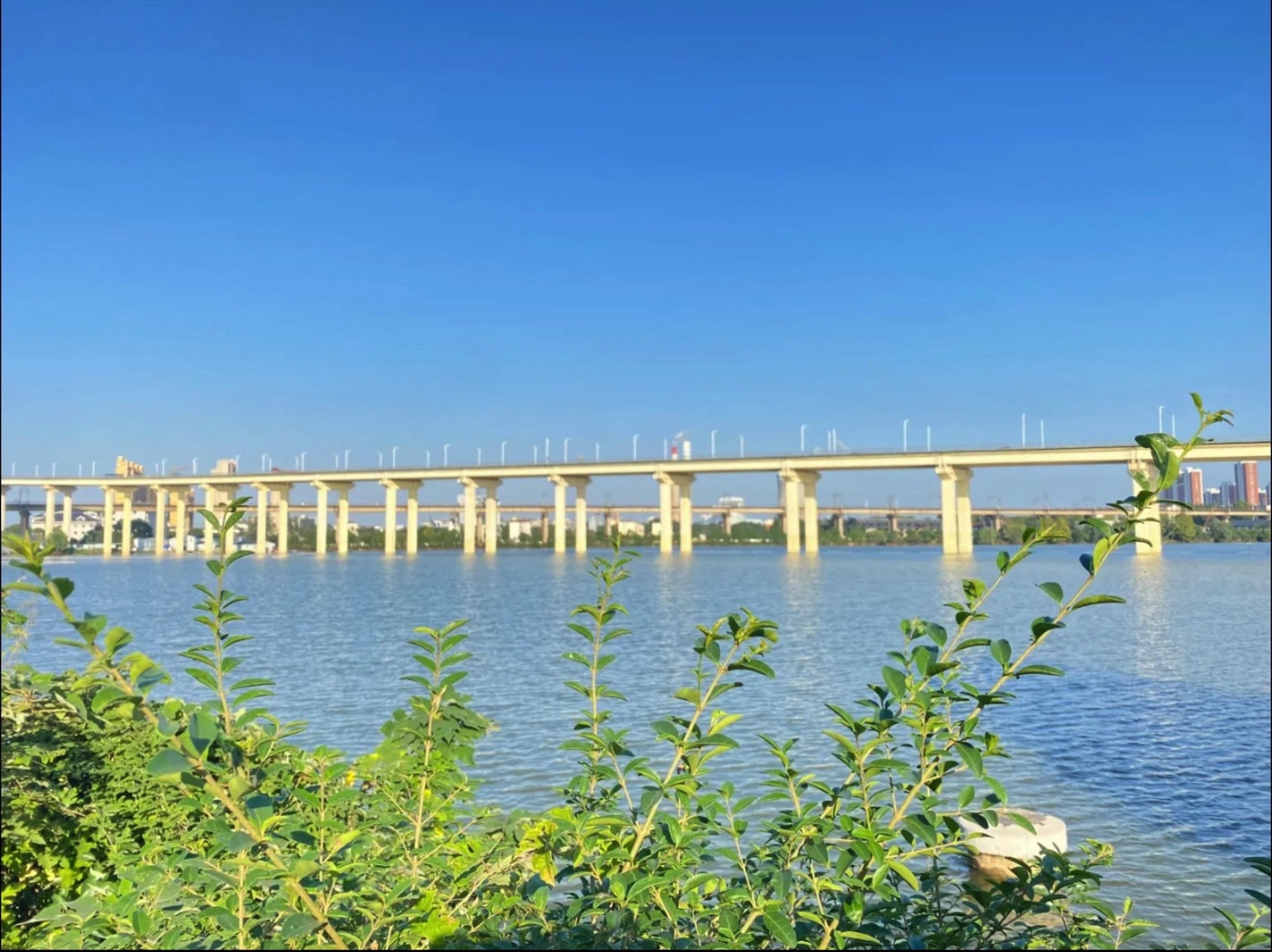 白水湖公园