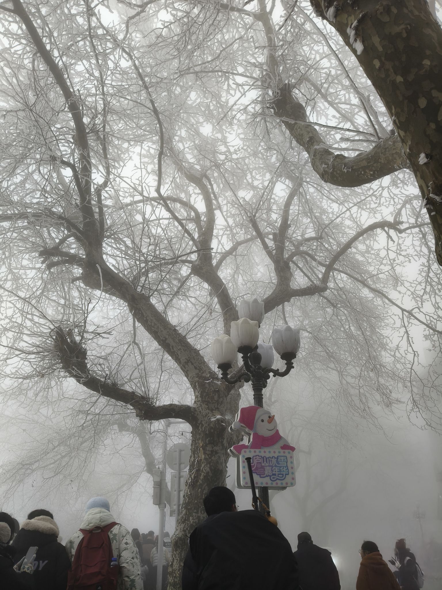 庐山国家级旅游风景名胜区旅行图片 3