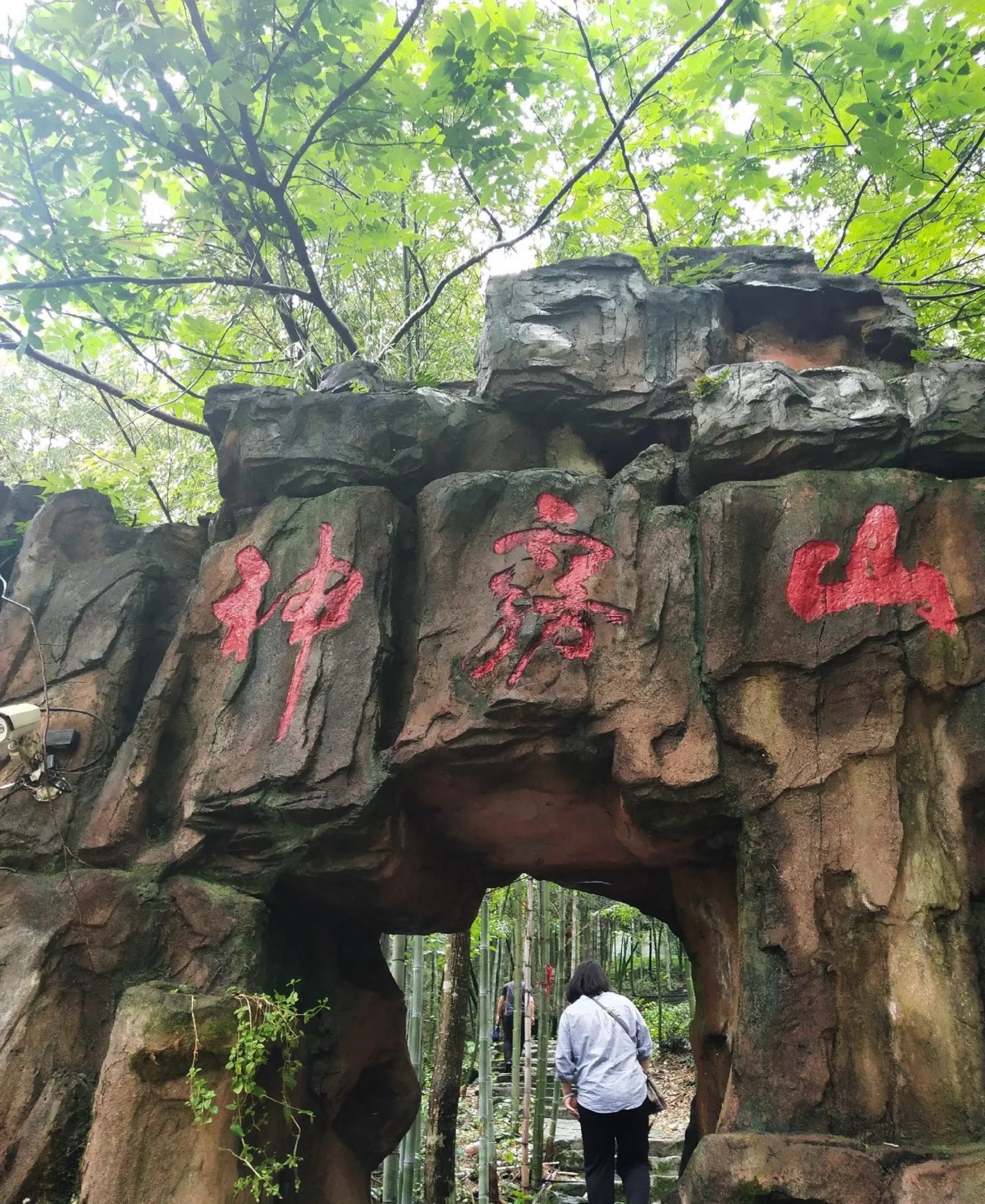 神雾山旅游风景区旅行图片 1