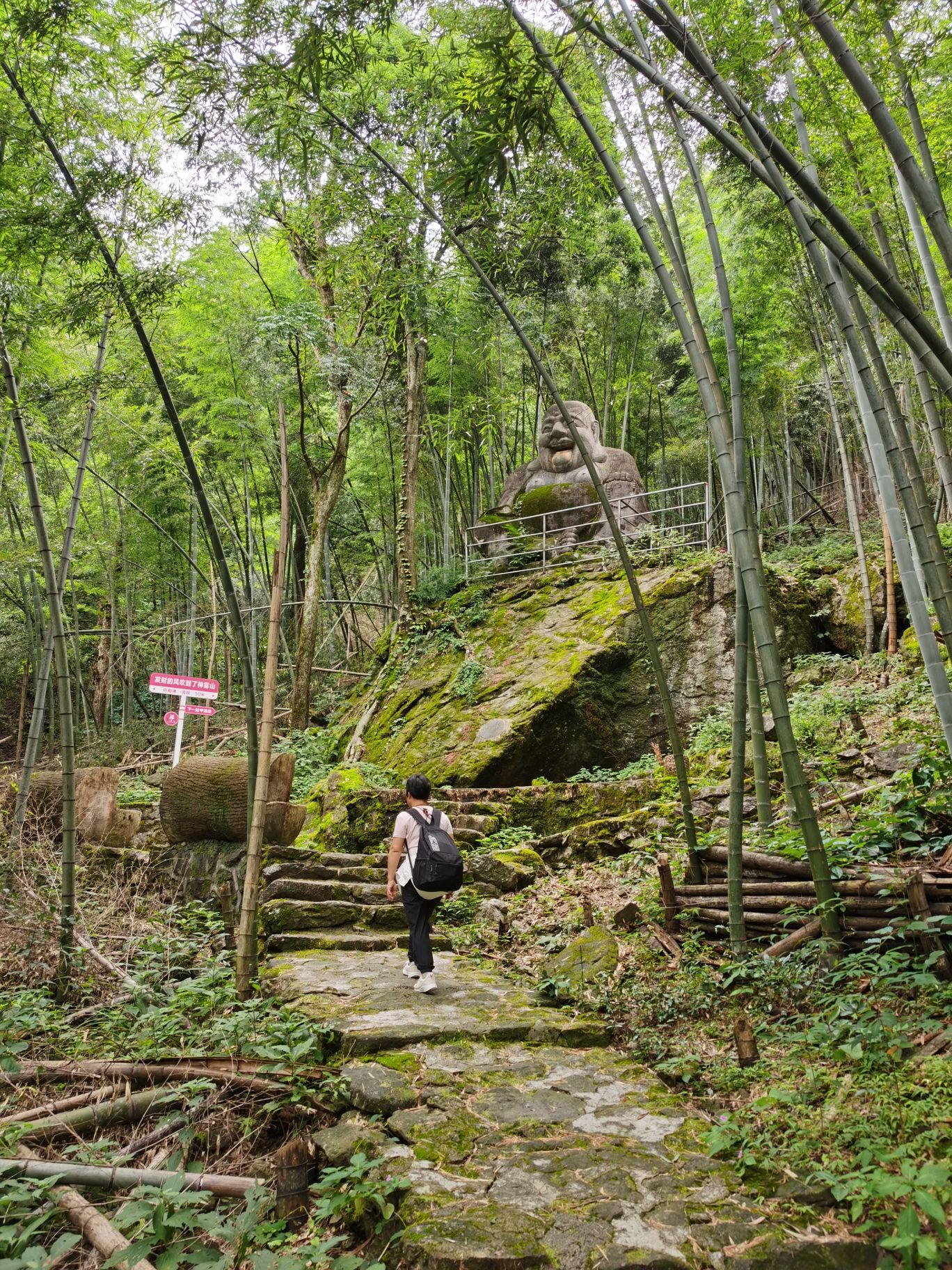 神雾山旅游风景区旅行图片 3