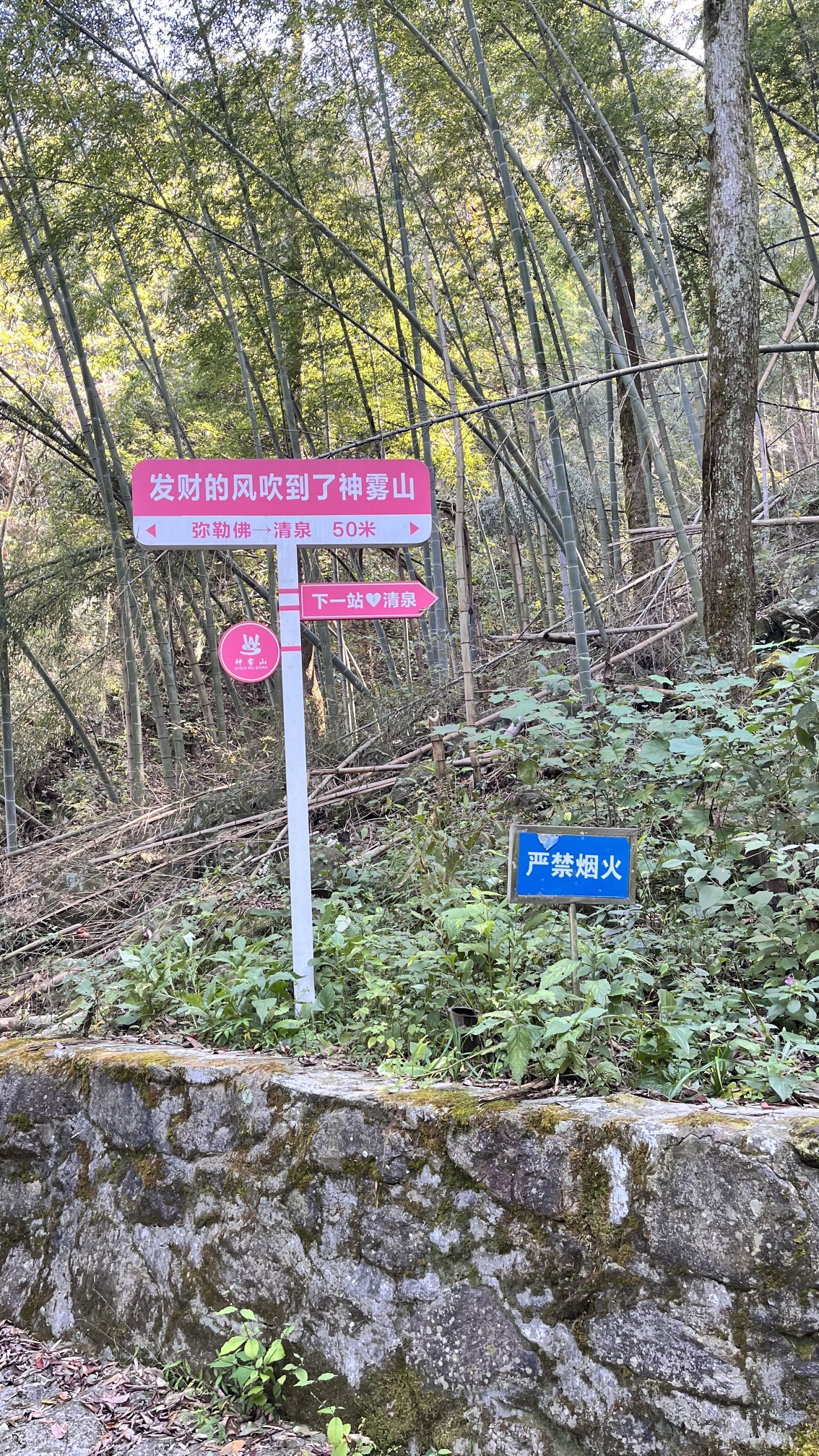 神雾山旅游风景区旅行图片 3