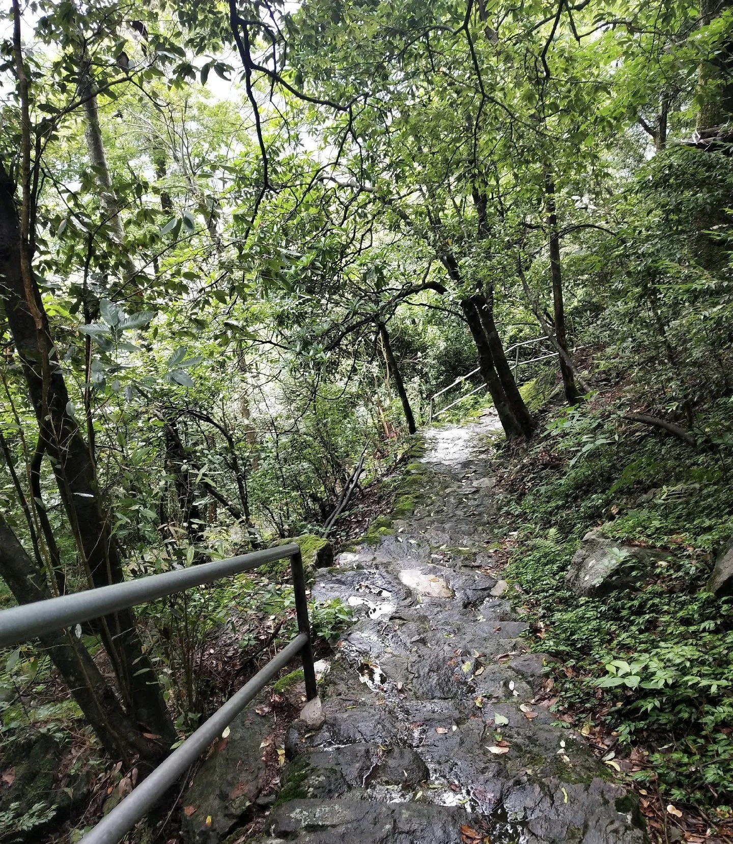 神雾山旅游风景区旅行图片 3