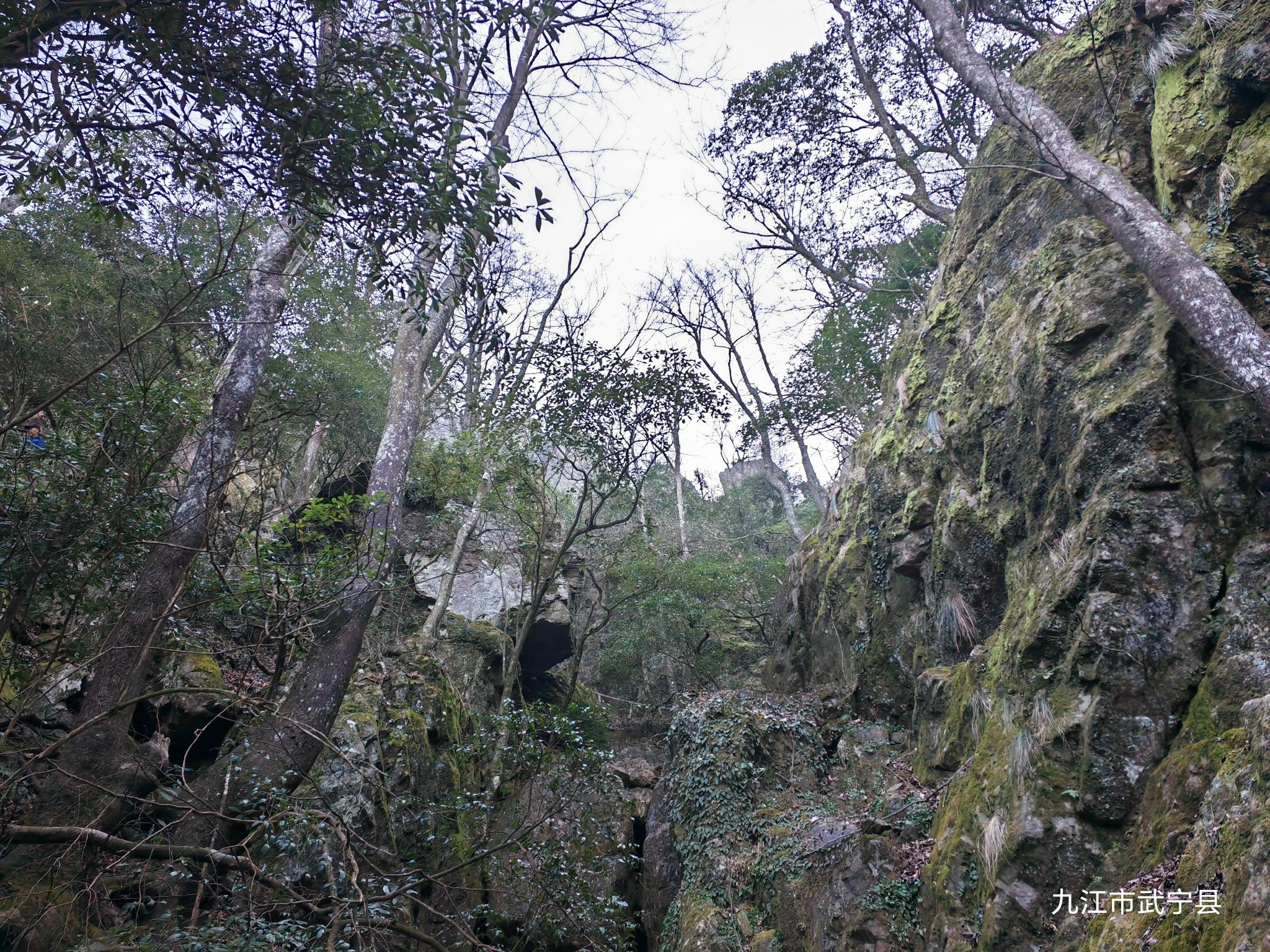 神雾山旅游风景区旅行图片 1