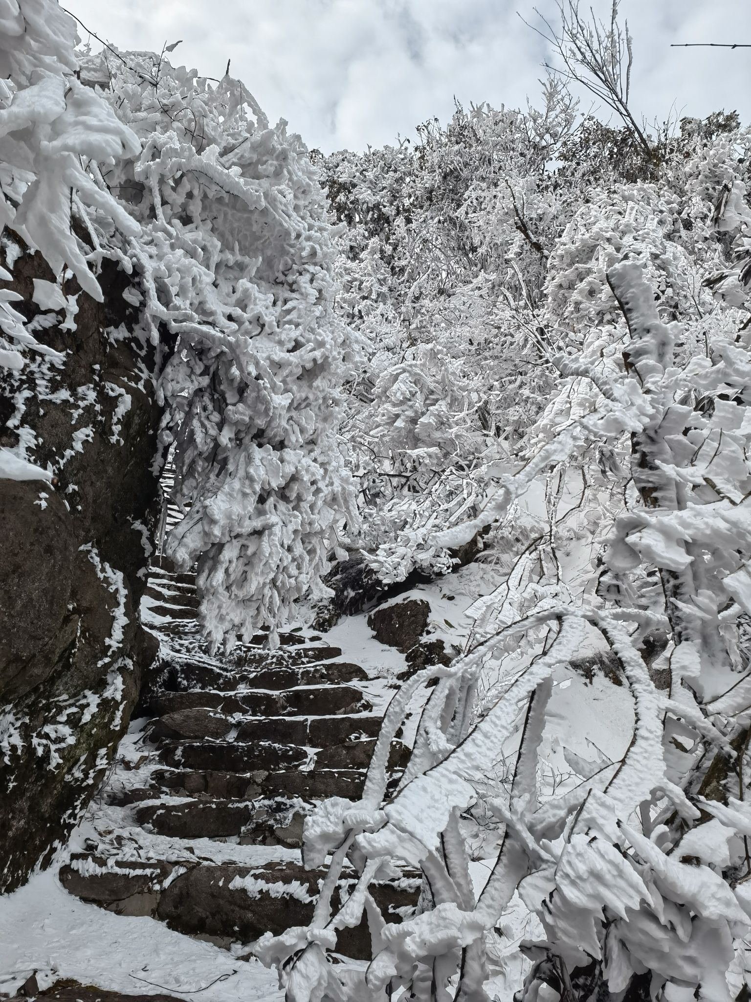 神雾山旅游风景区旅行图片 1