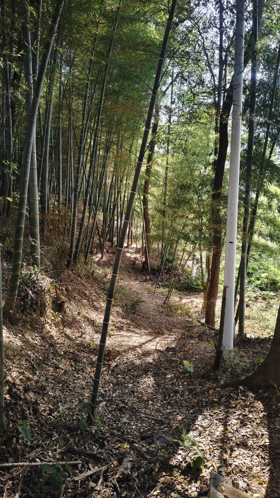 南湖公园旅行图片 3
