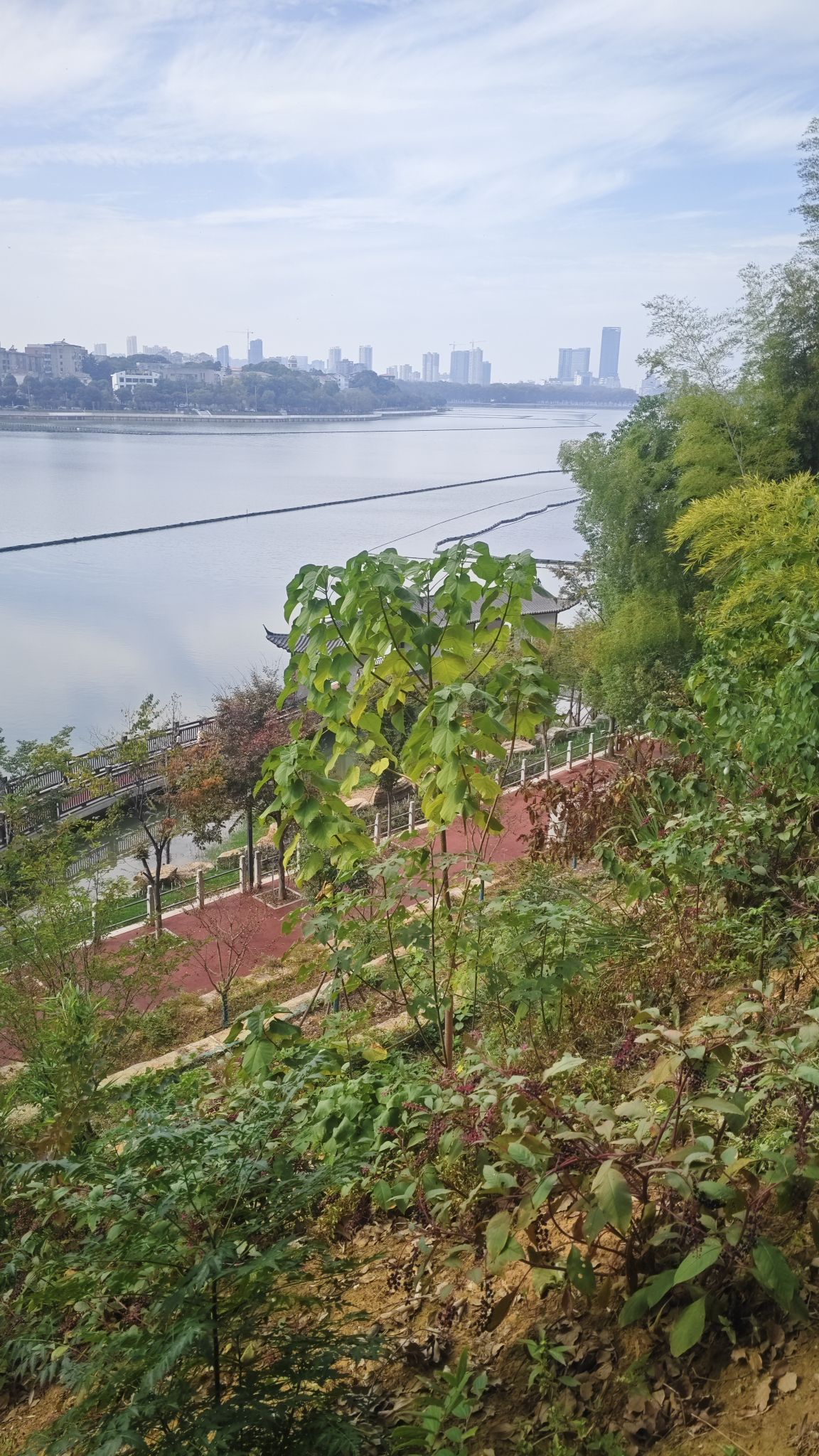 南湖公园旅行图片 2