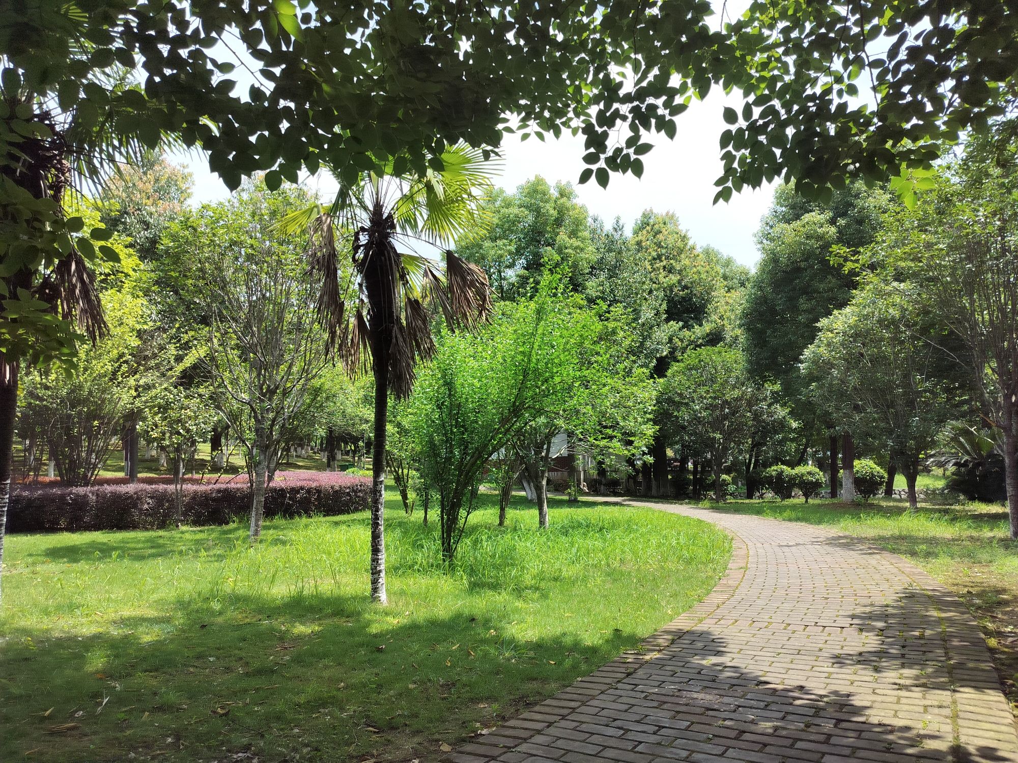 白莲公园旅行图片 1