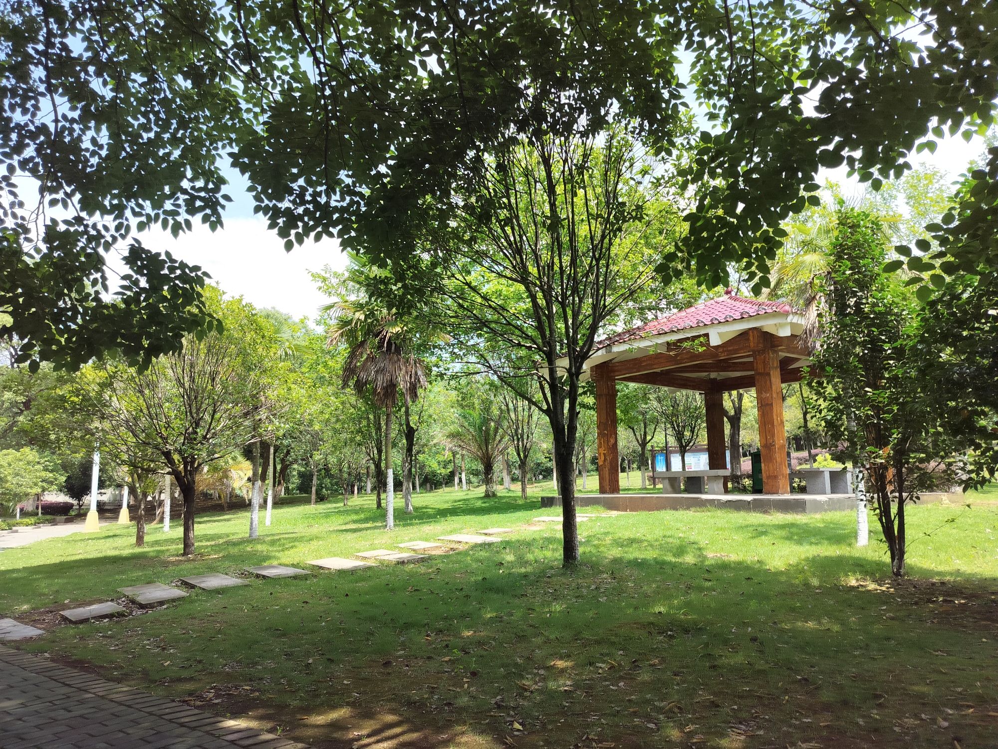 白莲公园旅行图片 2