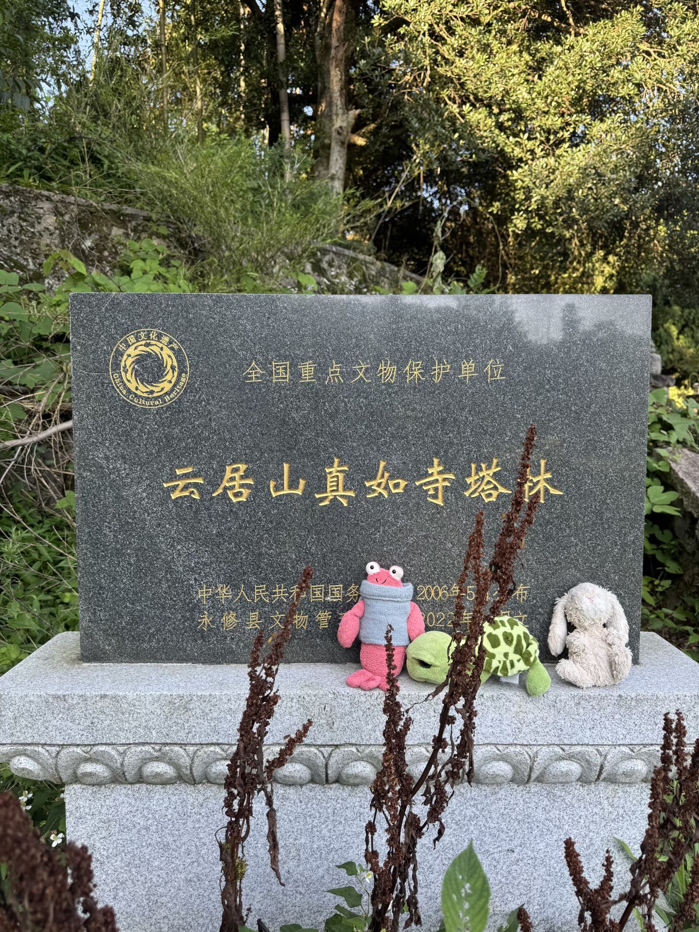 云居山风景区真如寺实景照片