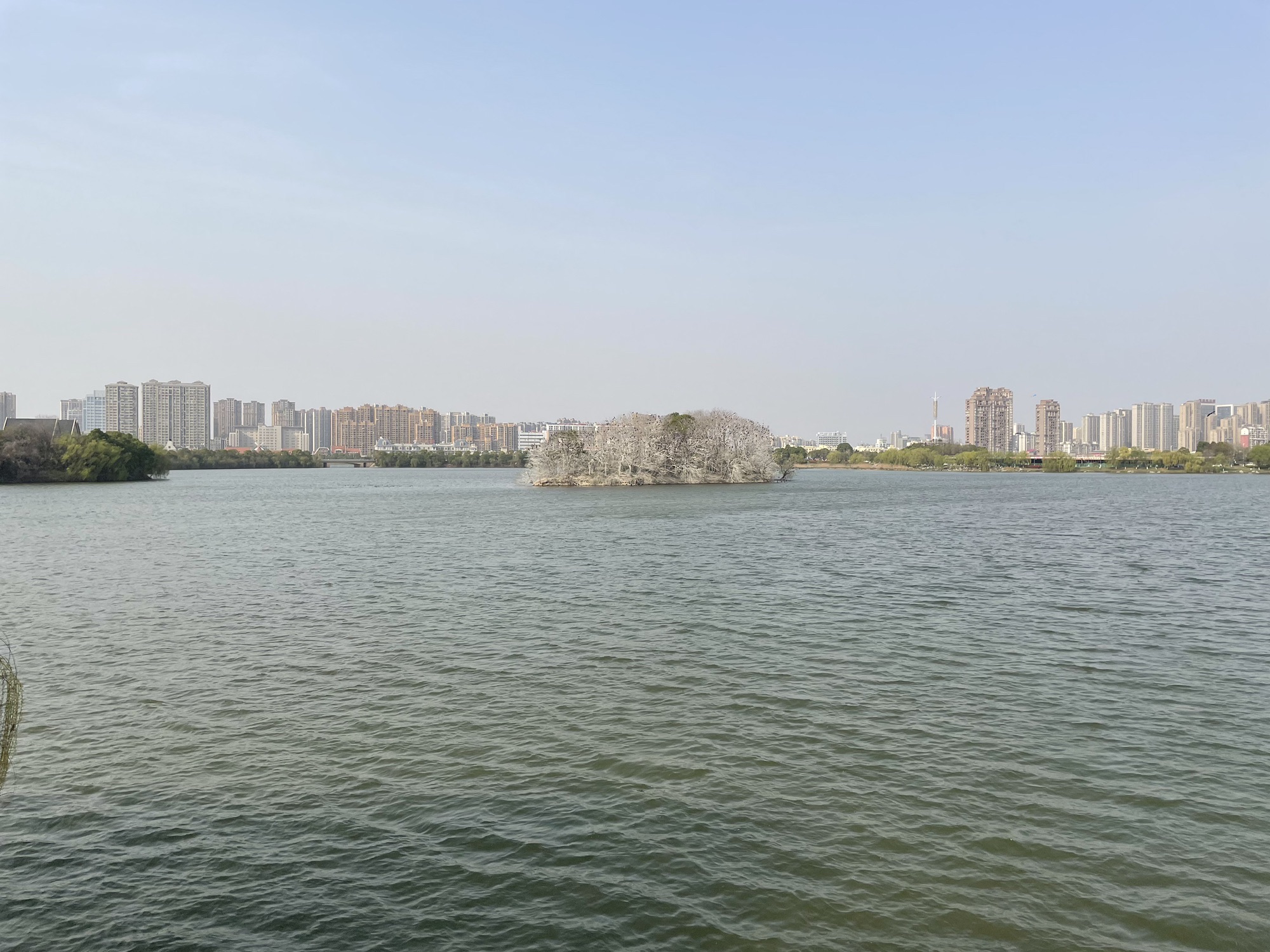 胜利公园旅行图片 1