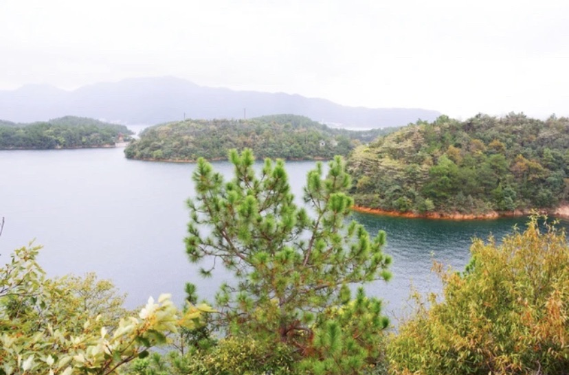 柘林湖旅行图片 3