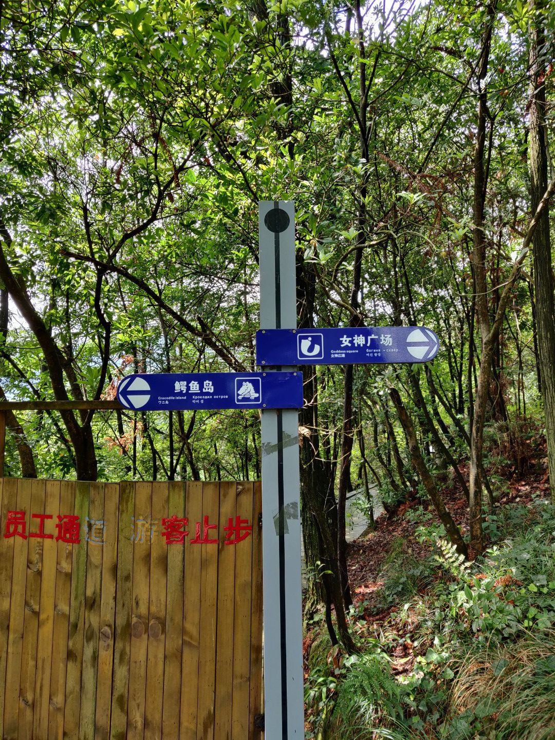 柘林湖旅行图片 1