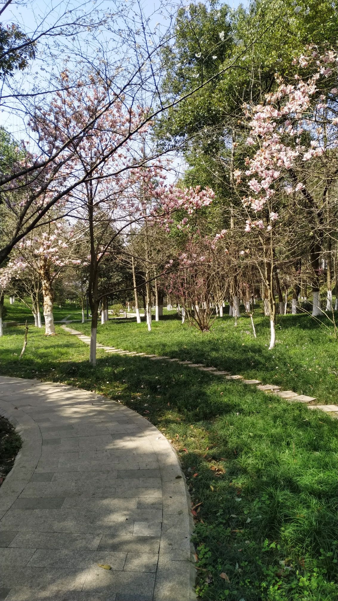 南山公园旅行图片 3