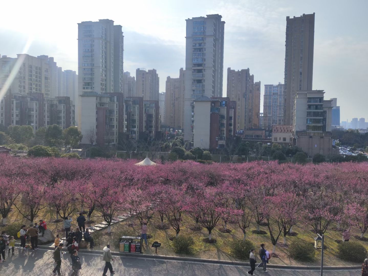 南山公园旅行图片 1