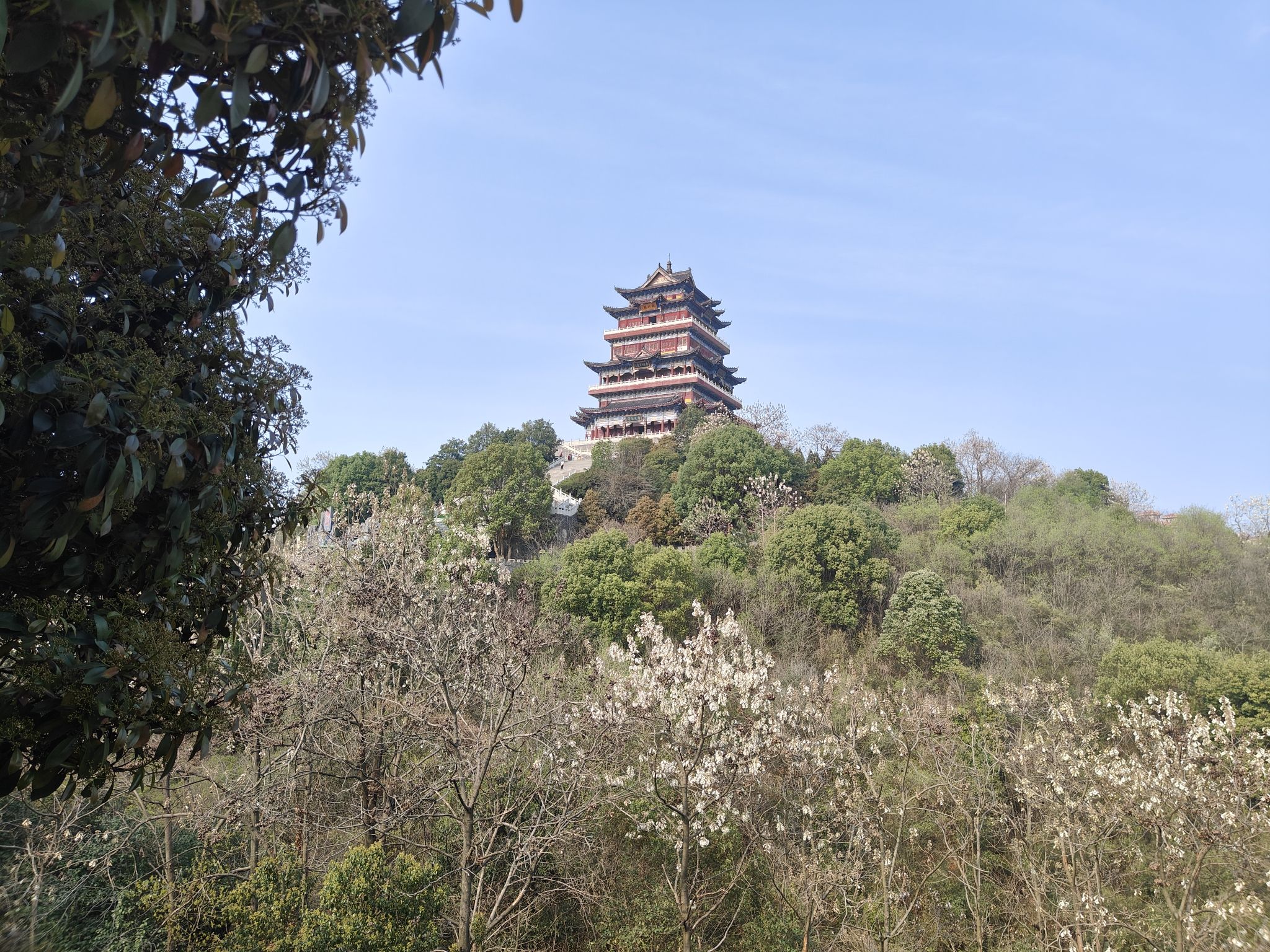 南山公园旅行图片 2
