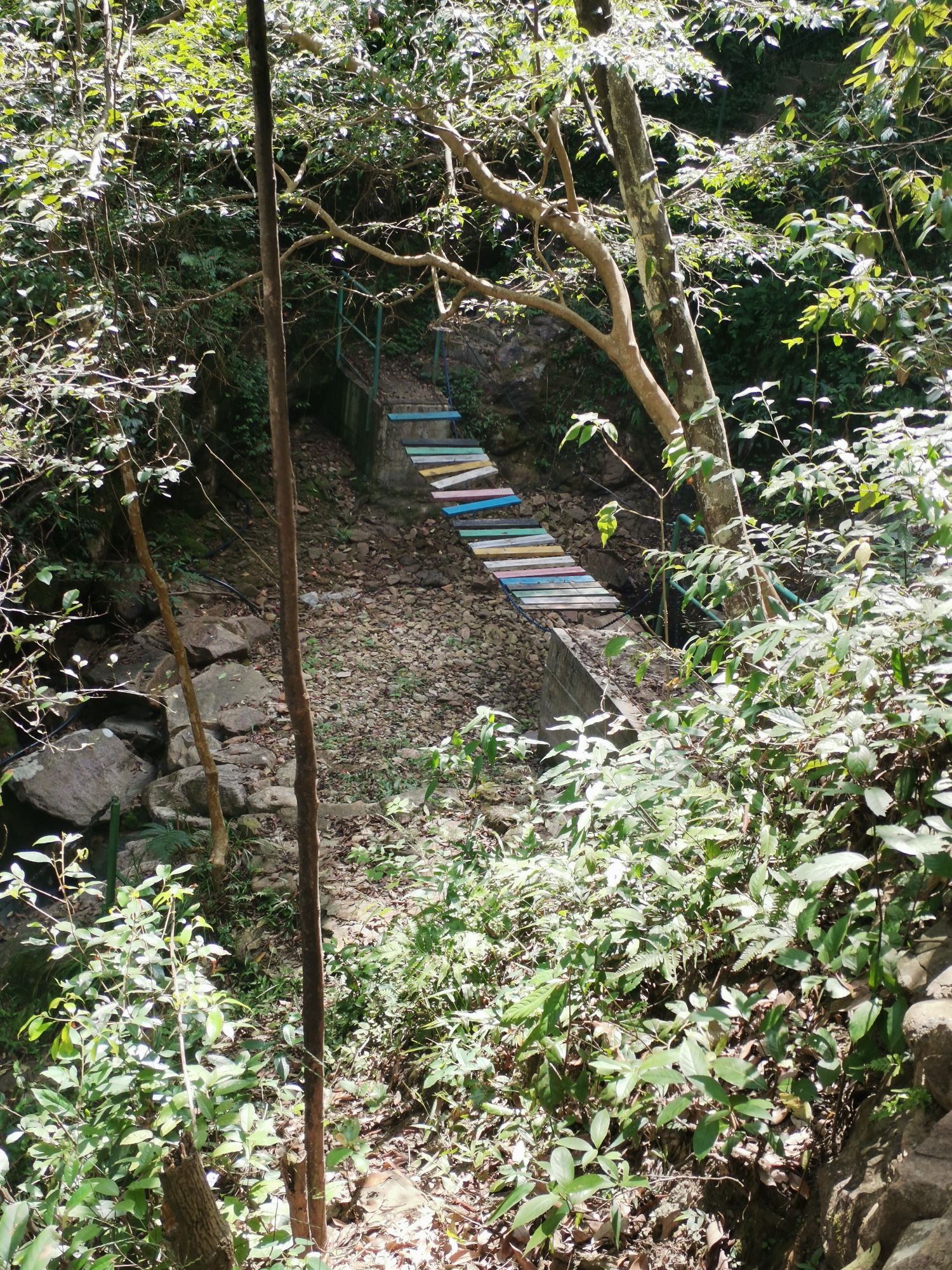 武陵奇峡风景区(暂停开放)旅行图片 2