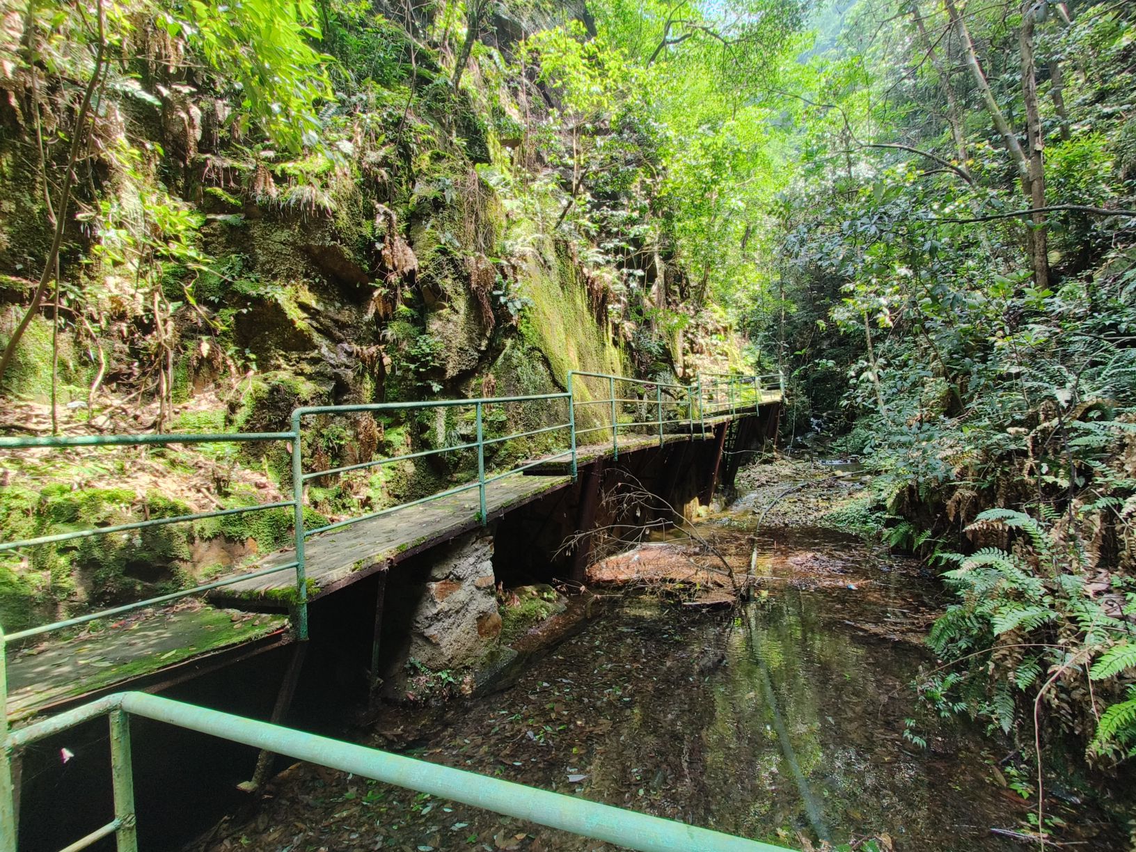 武陵奇峡风景区(暂停开放)旅行图片 3