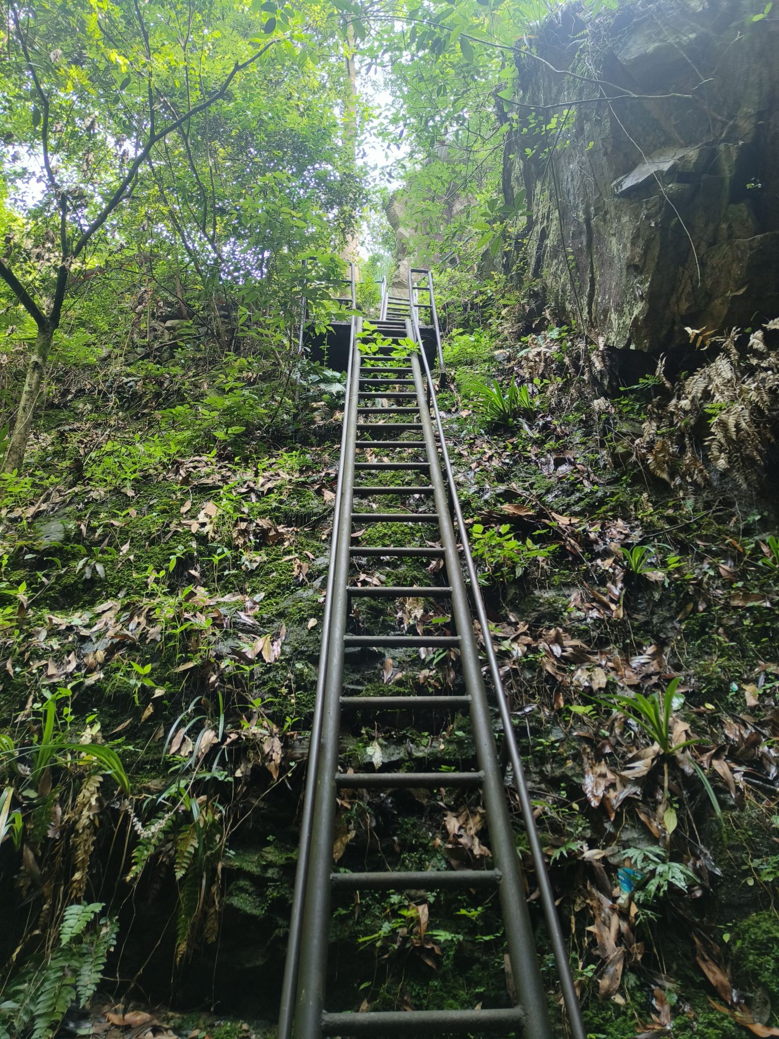 武陵奇峡风景区(暂停开放)旅行图片 2