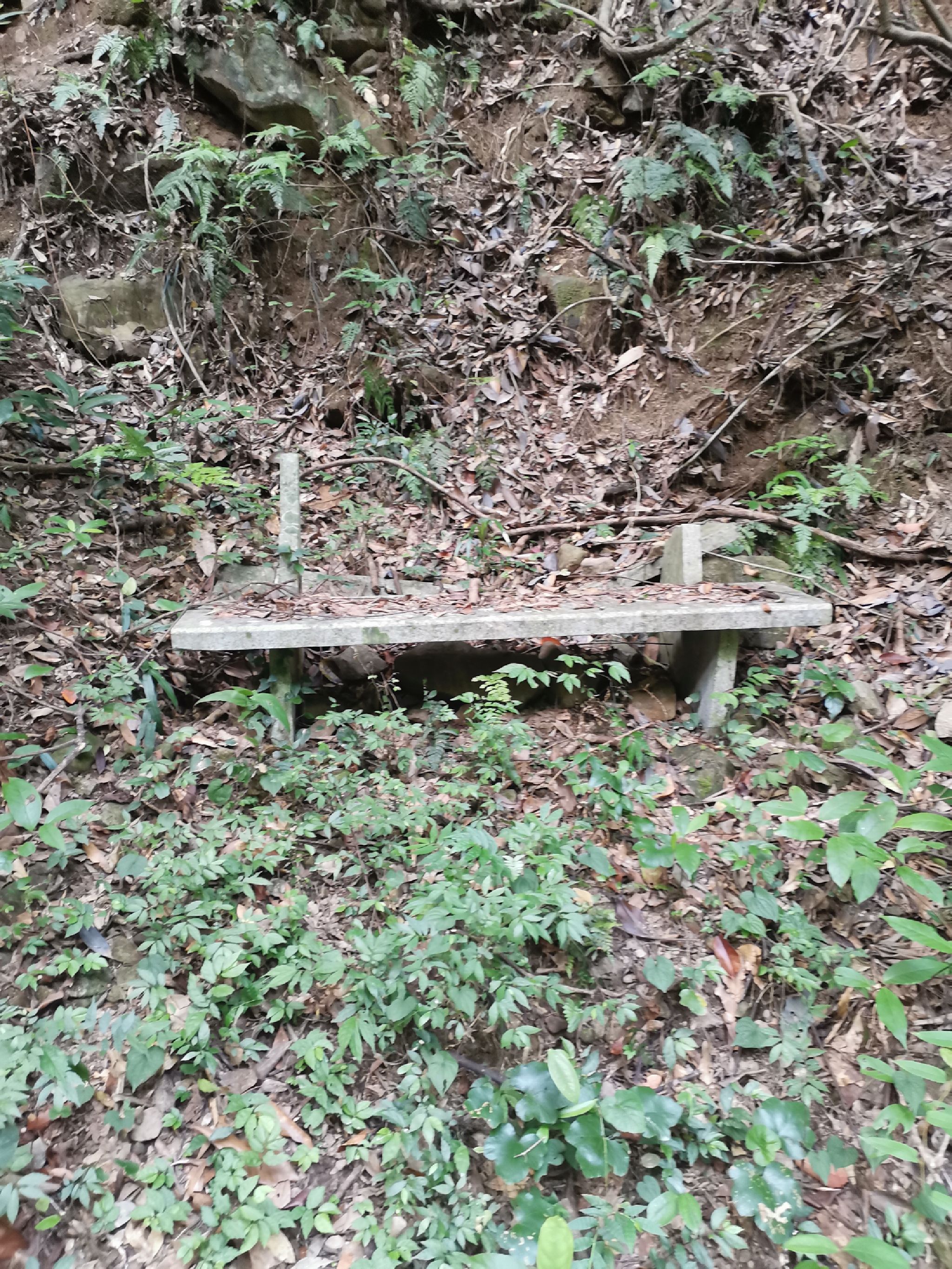 武陵奇峡风景区(暂停开放)旅行图片 1