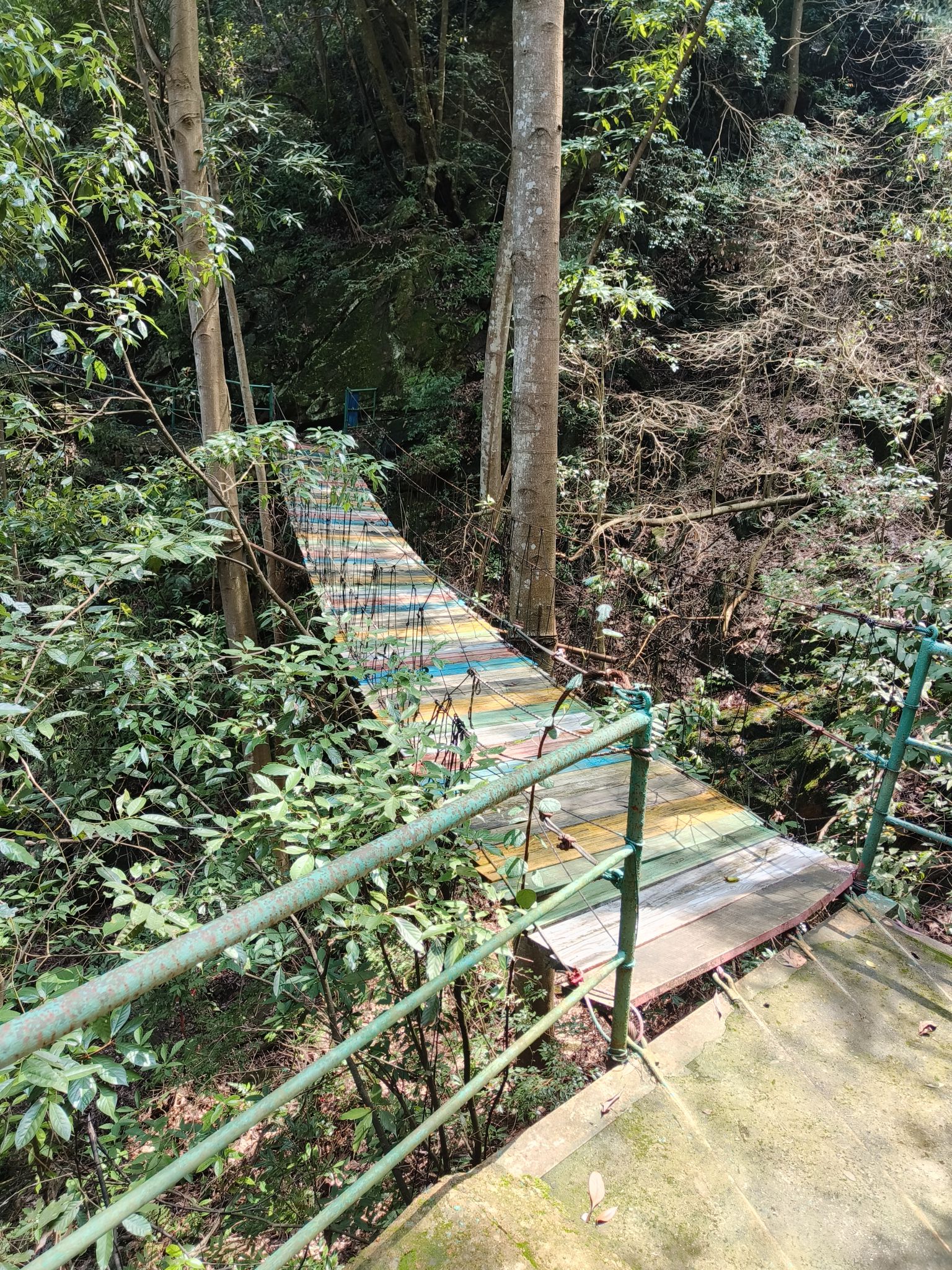 武陵奇峡风景区(暂停开放)旅行图片 1