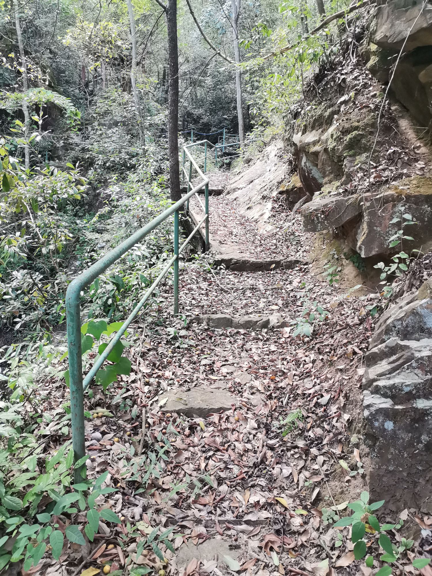 武陵奇峡风景区(暂停开放)旅行图片 3