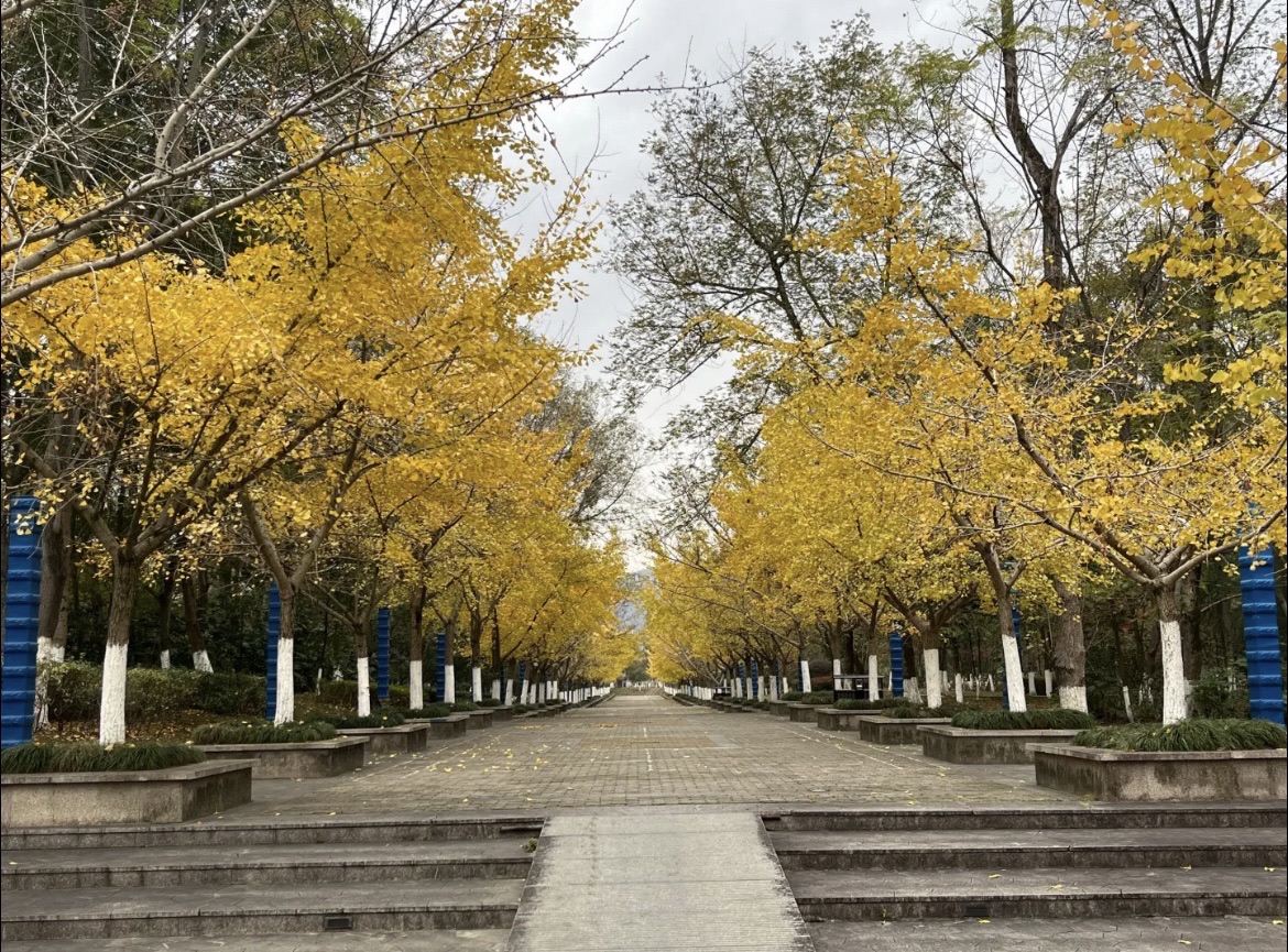 马家洲公园