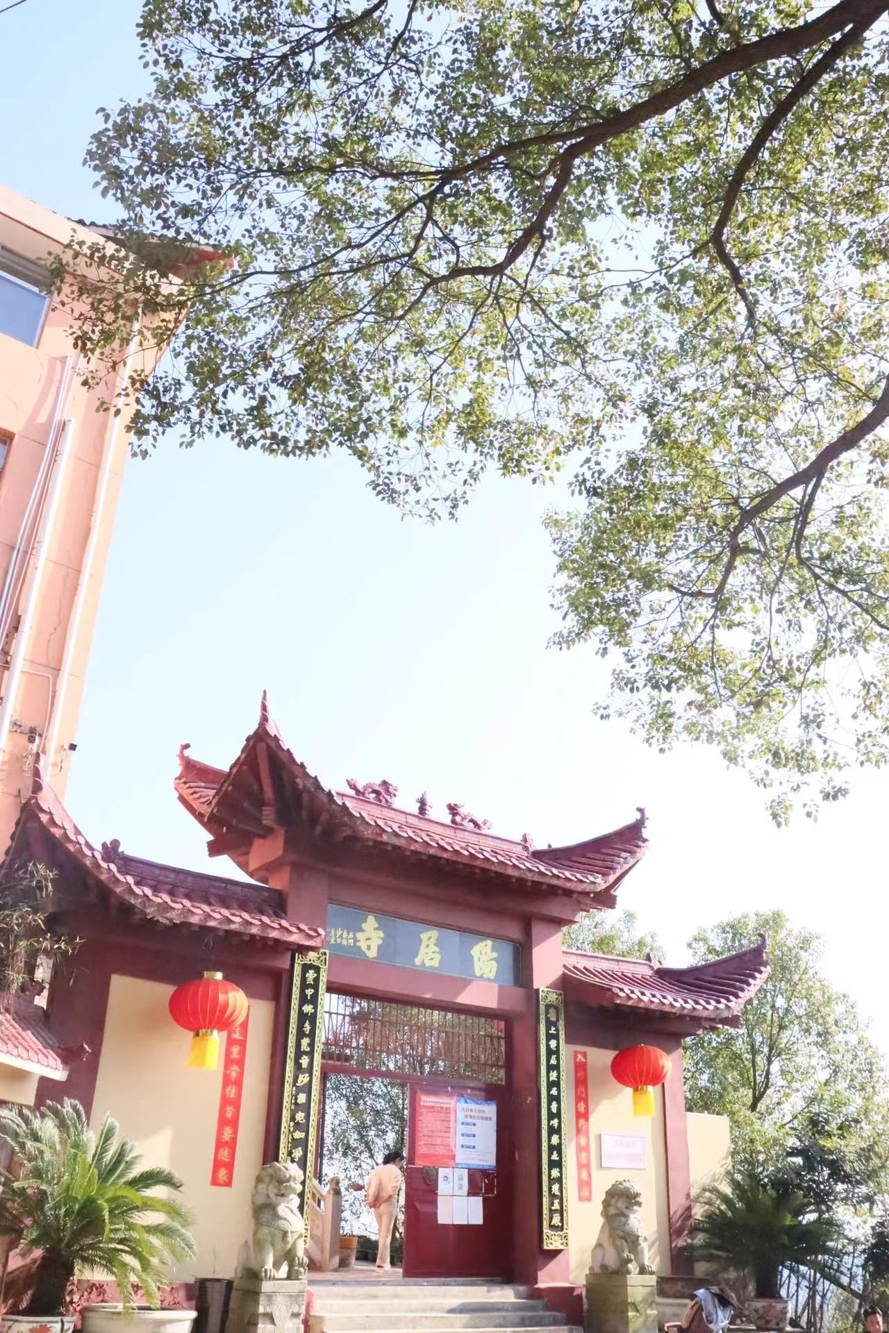 九仙岭森林公园旅行图片 1