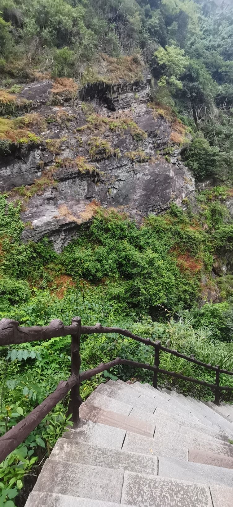 九仙岭森林公园旅行图片 1