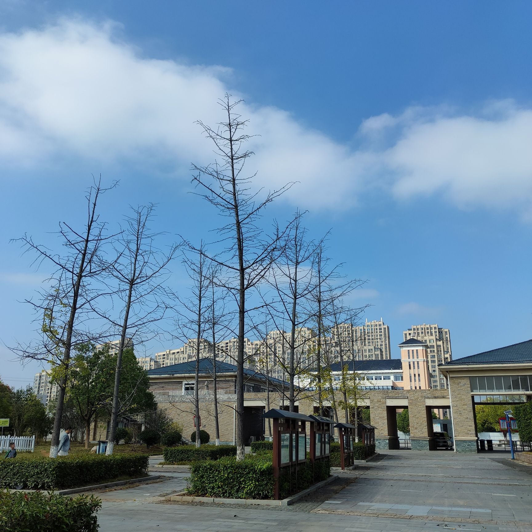 九仙岭森林公园旅行图片 2