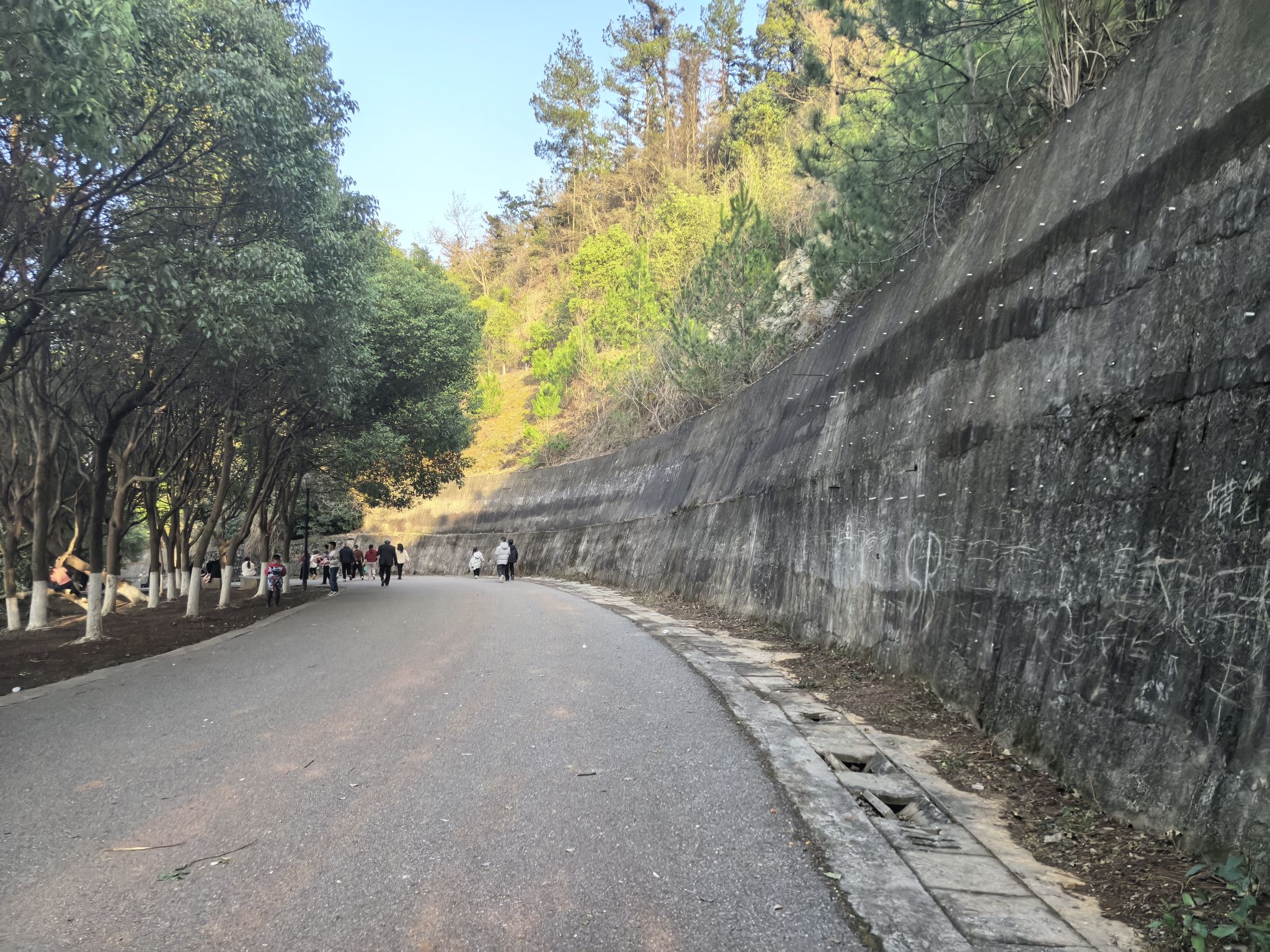 九仙岭森林公园旅行图片 2